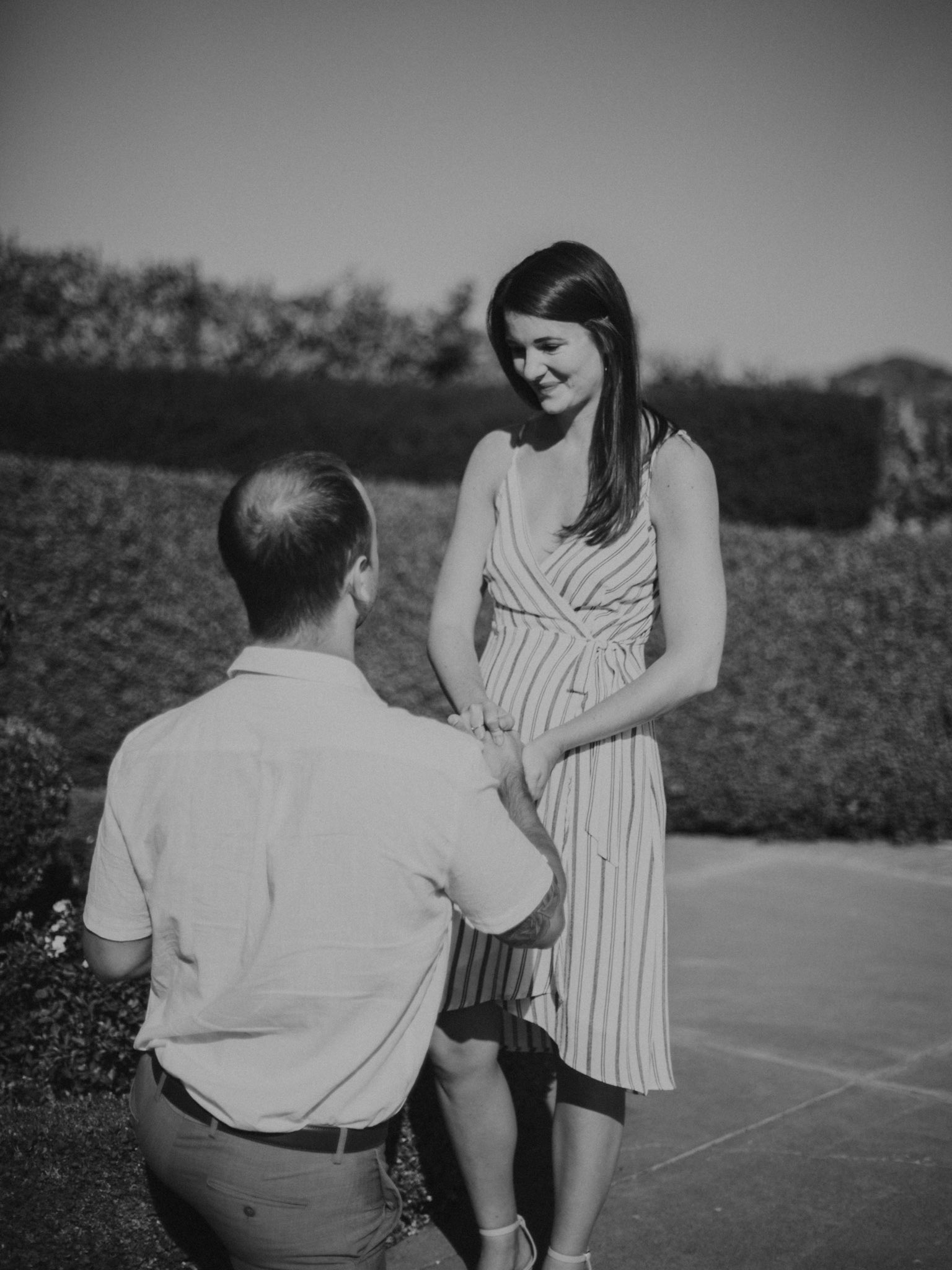 domaine carneros surprise proposal napa ca