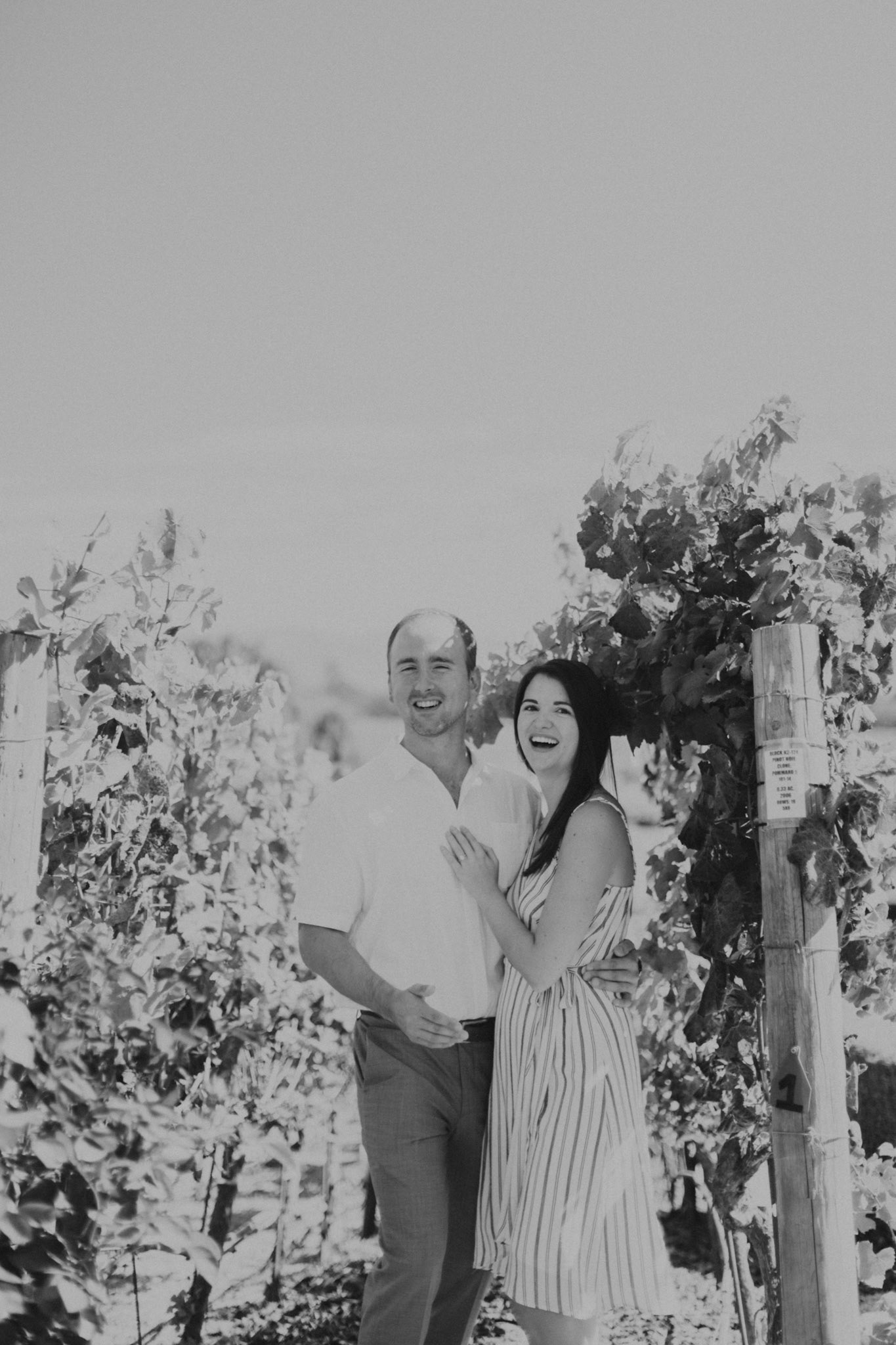 domaine carneros surprise proposal napa ca