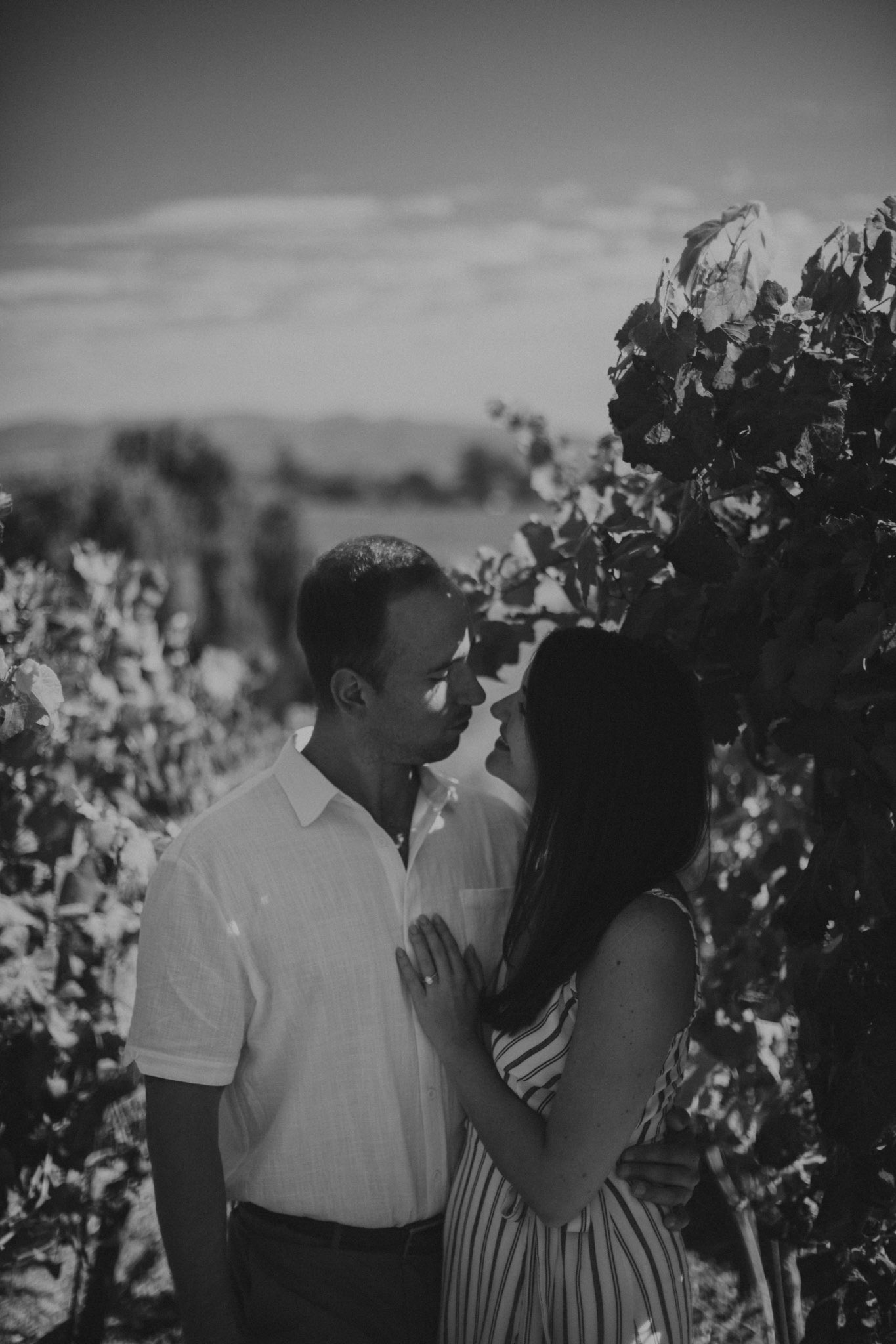 domaine carneros surprise proposal napa ca