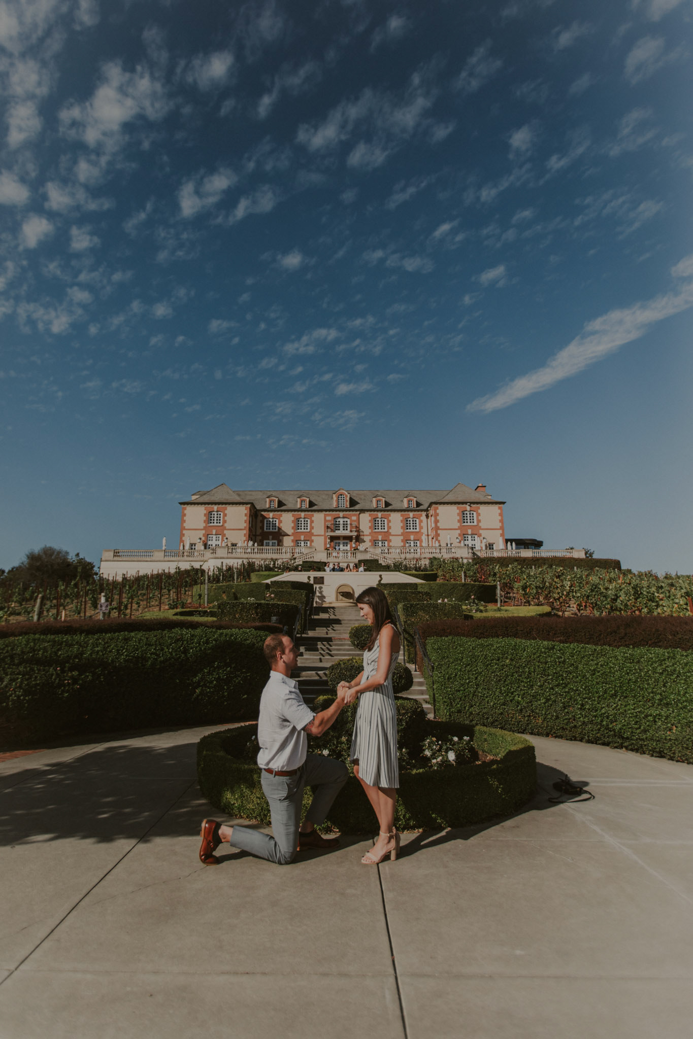domaine carneros surprise proposal napa ca