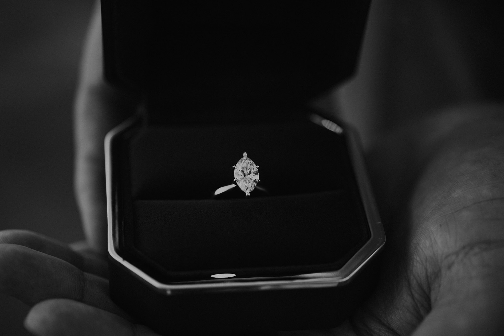 Tahoe Proposal Photos
