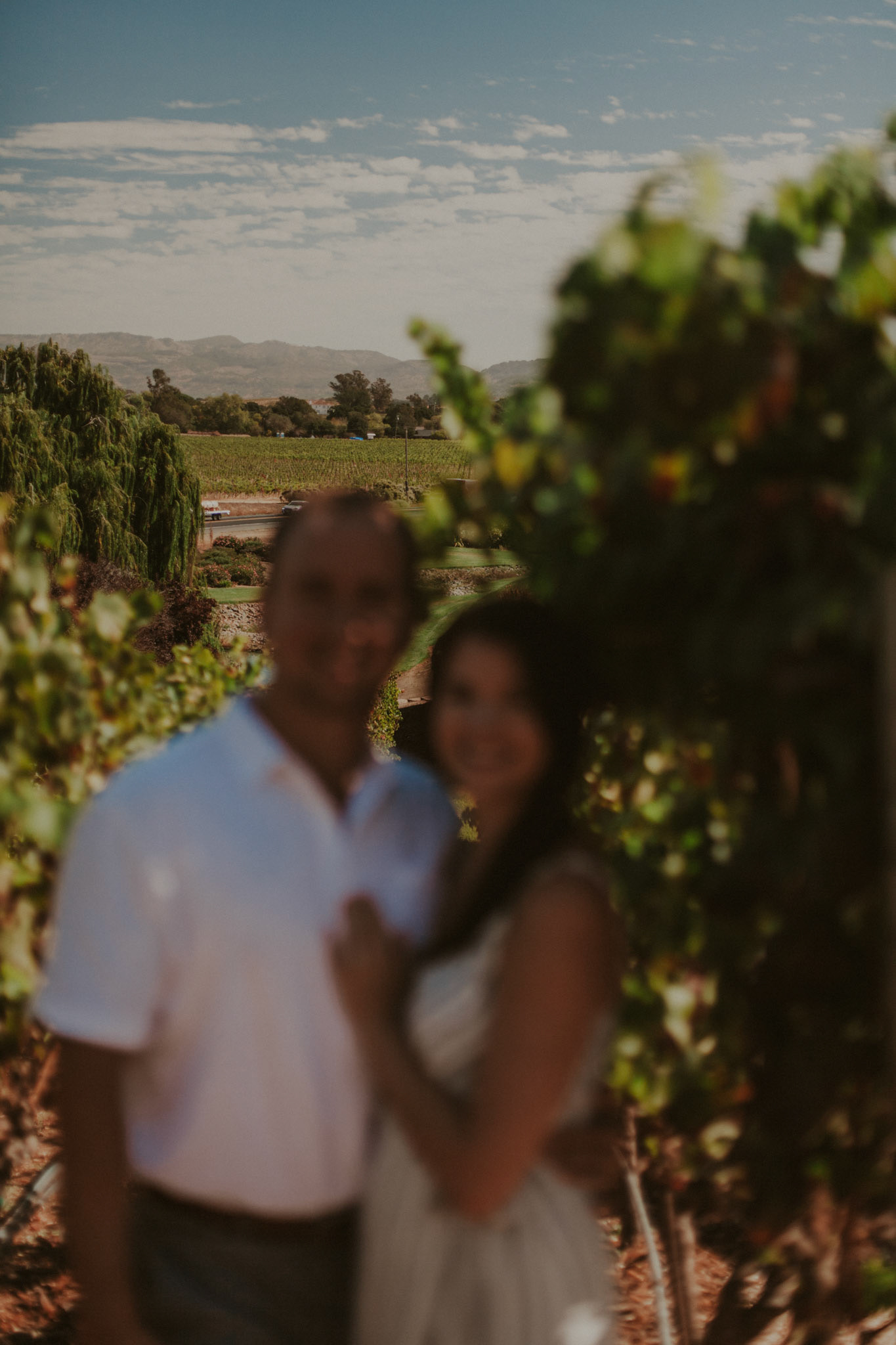 domaine carneros surprise proposal napa ca