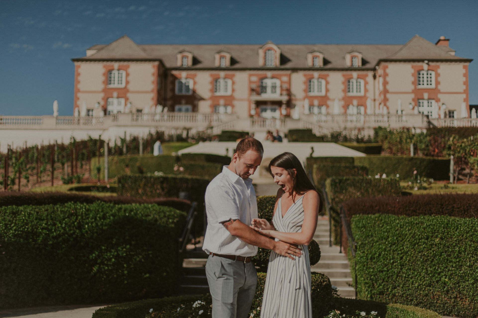 domaine carneros surprise proposal napa ca