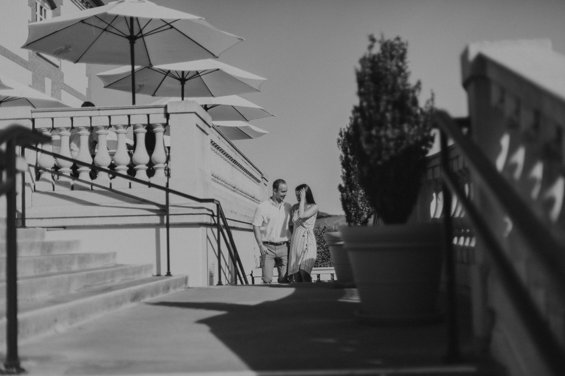 domaine carneros surprise proposal napa ca