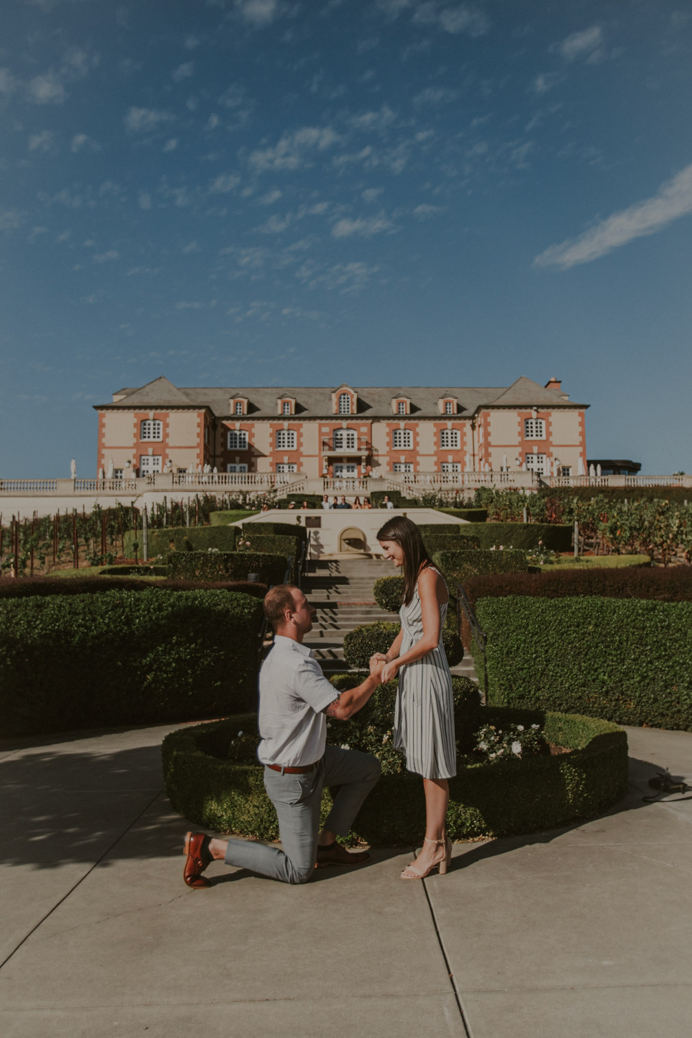 domaine carneros surprise proposal napa ca