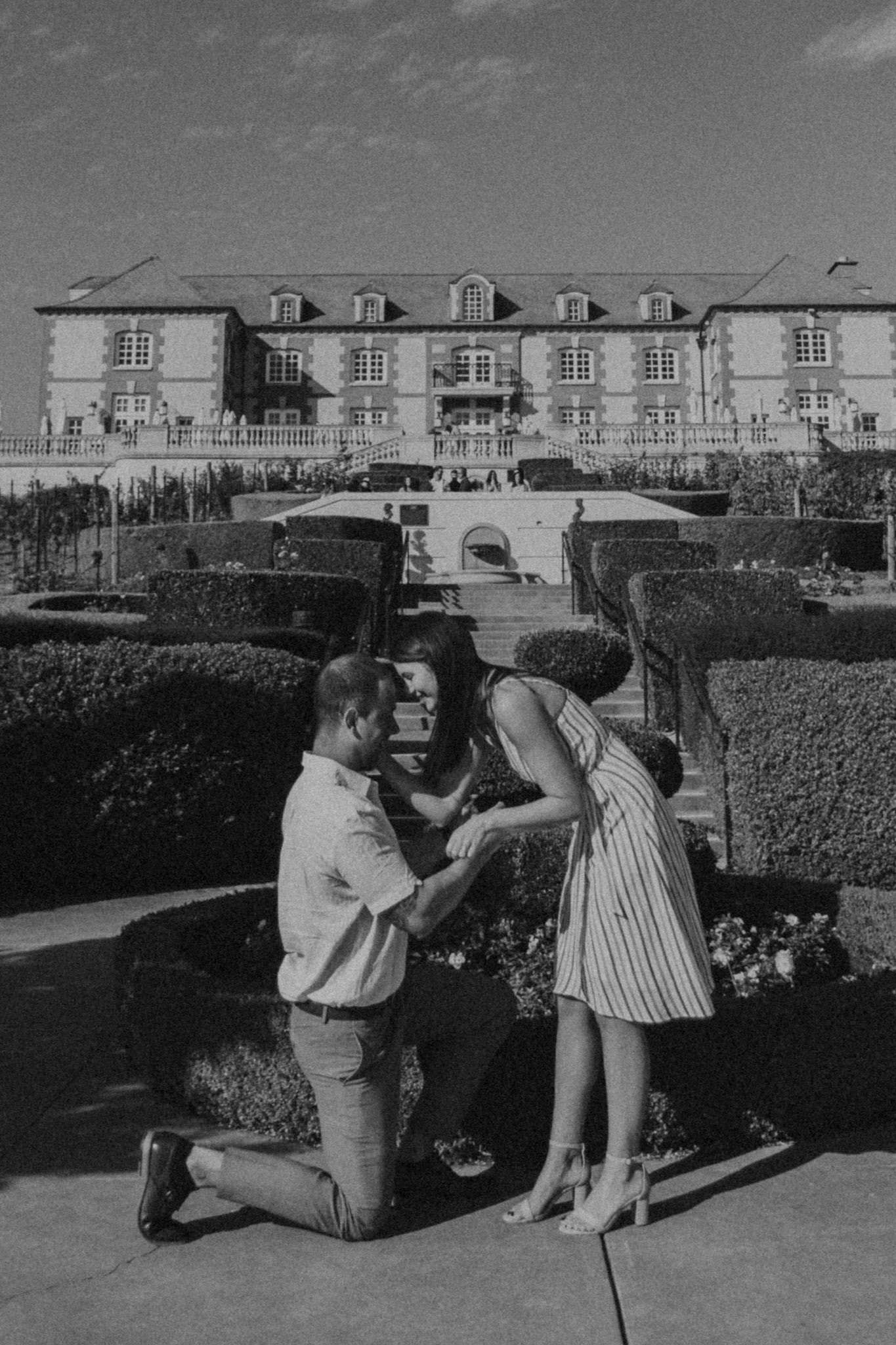 domaine carneros surprise proposal napa ca
