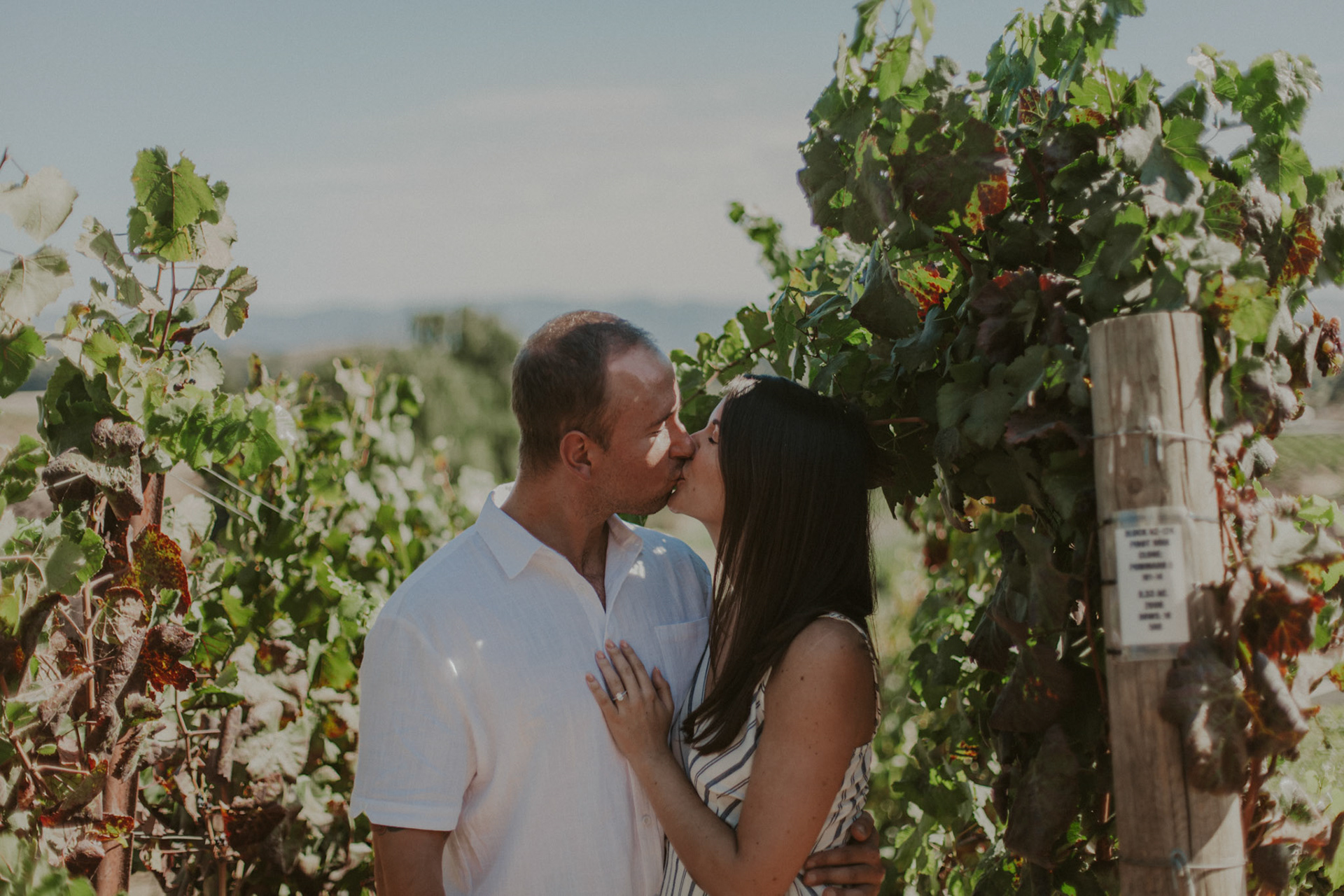 domaine carneros surprise proposal napa ca