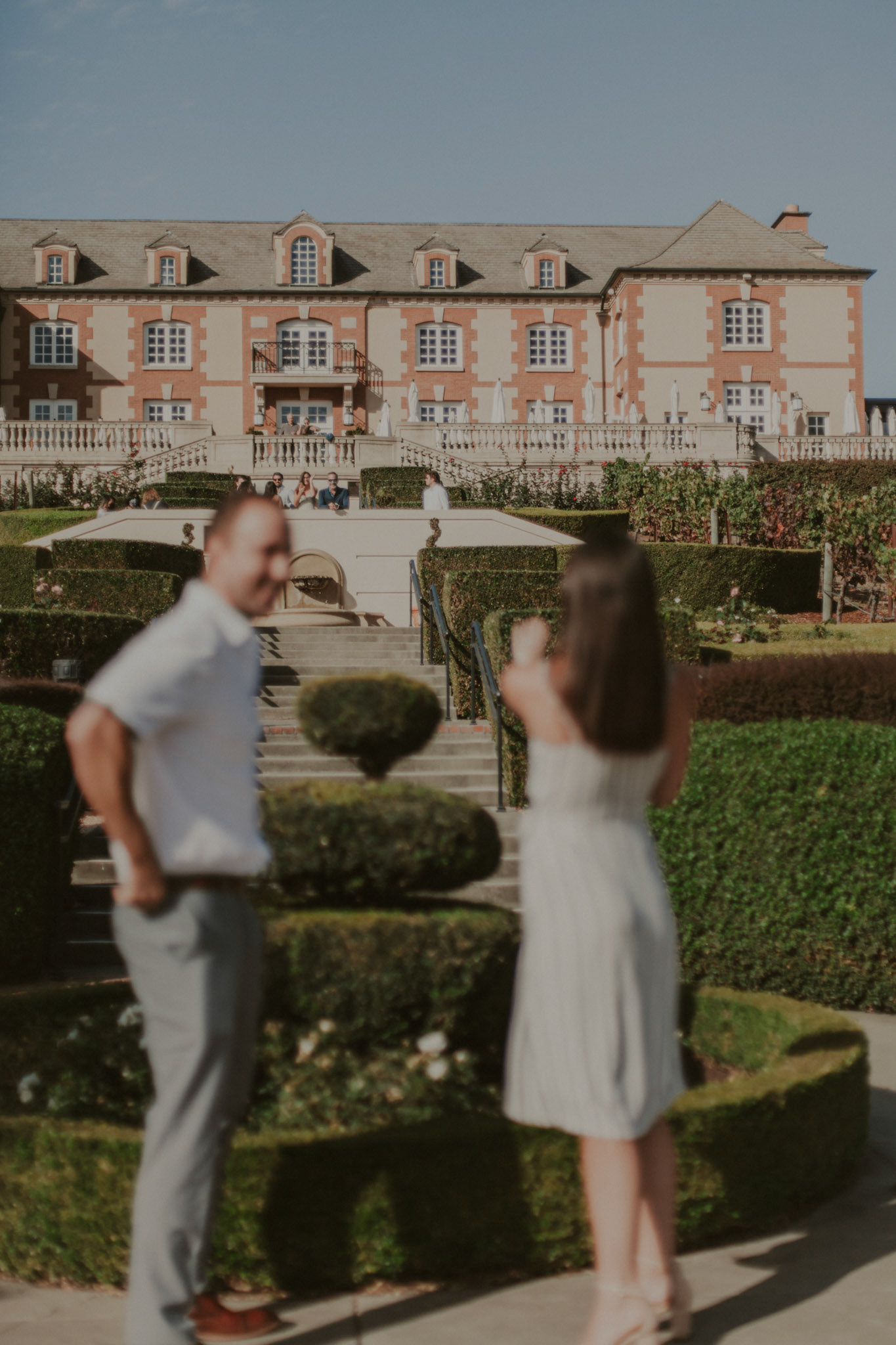 domaine carneros surprise proposal napa ca