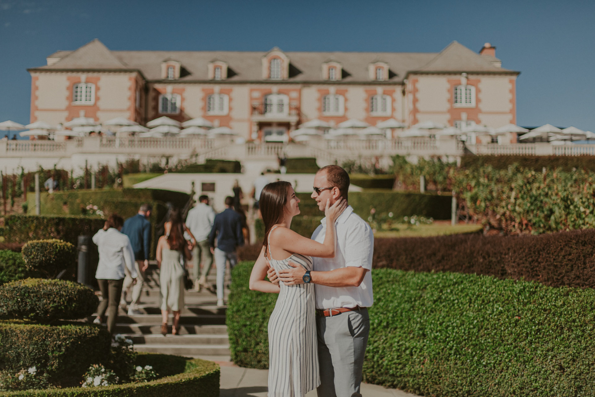 domaine carneros surprise proposal napa ca