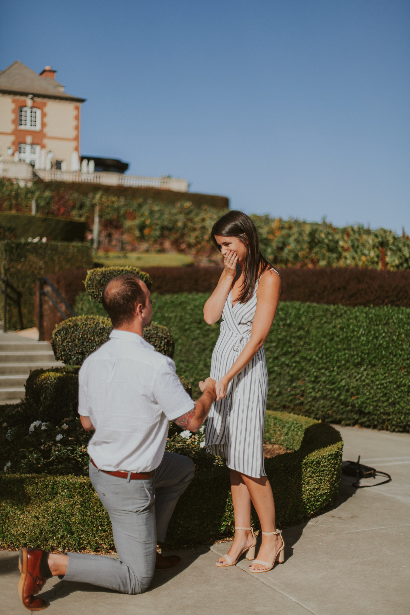 domaine carneros surprise proposal napa ca