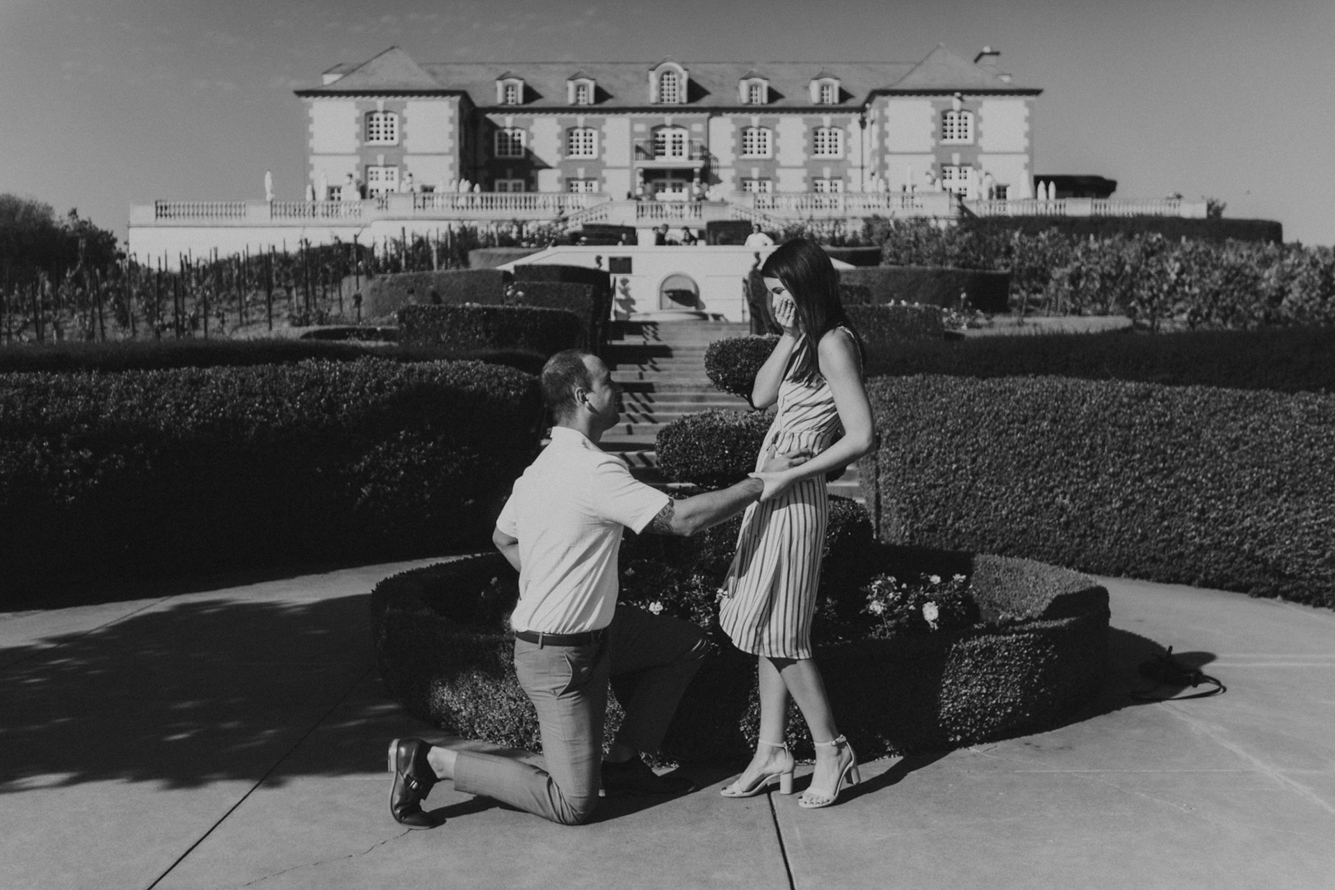 domaine carneros surprise proposal napa ca