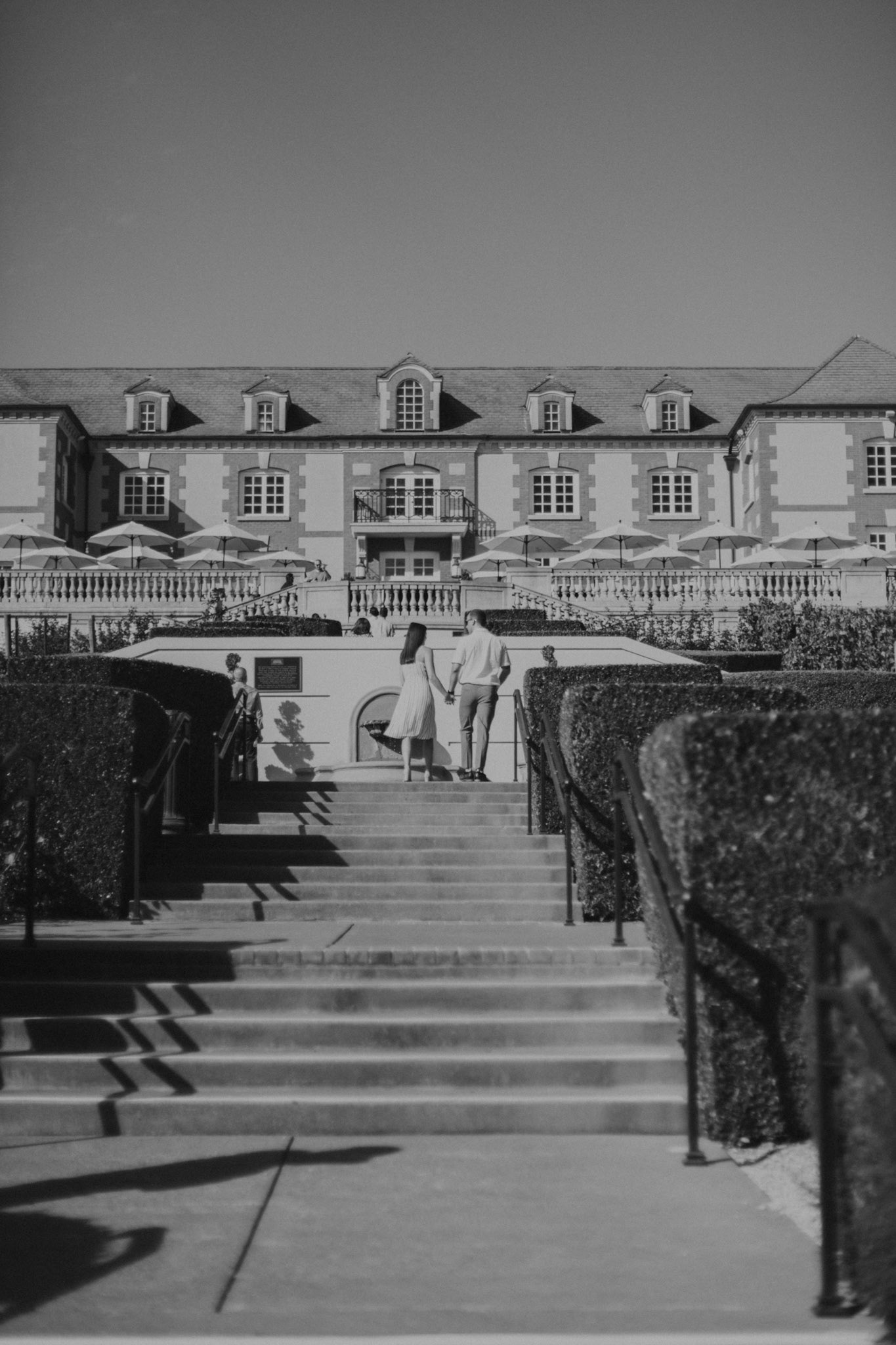 domaine carneros surprise proposal napa ca