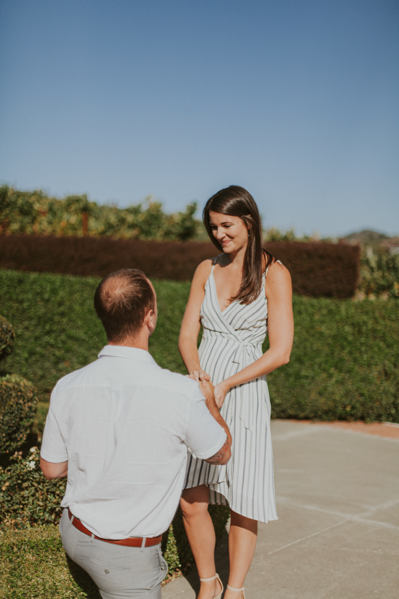 domaine carneros surprise proposal napa ca
