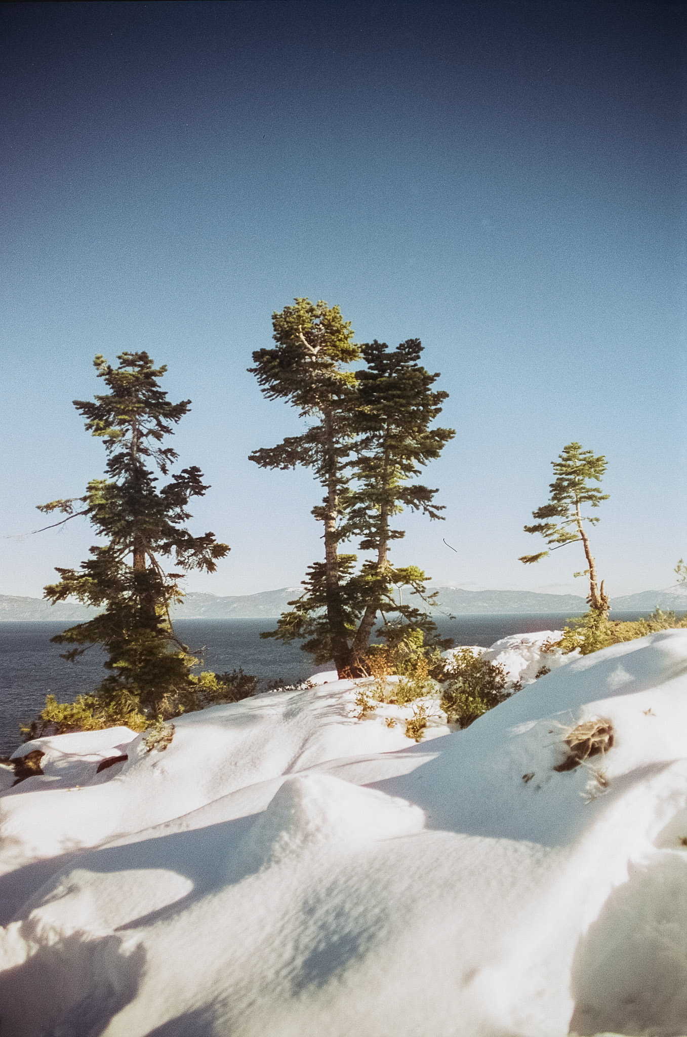 Lake Tahoe Proposal