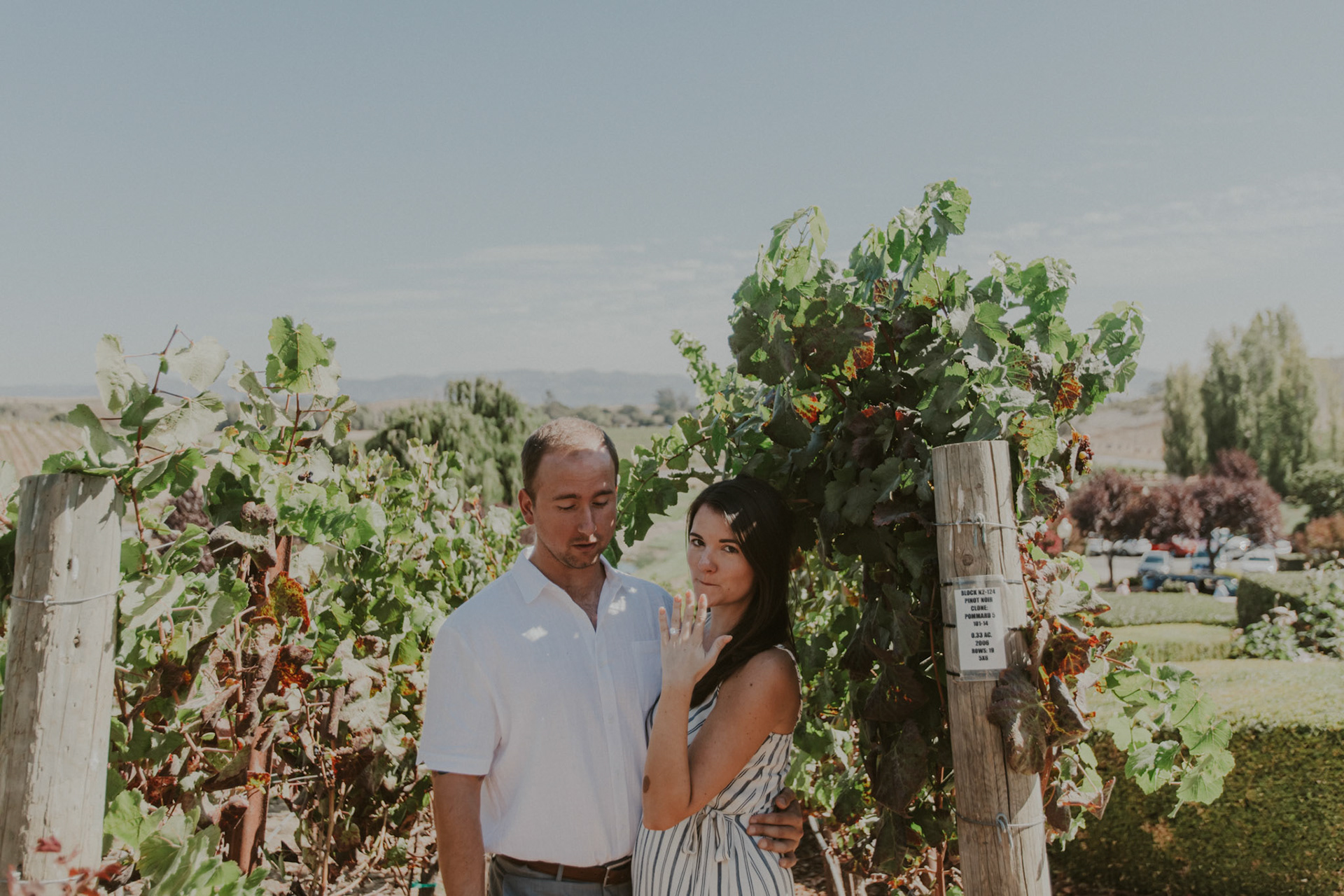 domaine carneros surprise proposal napa ca