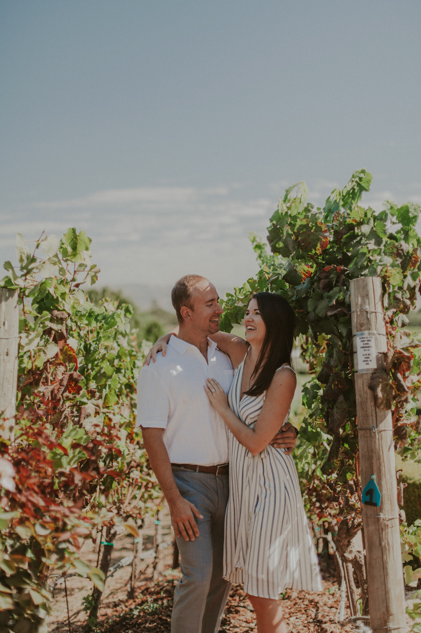 domaine carneros surprise proposal napa ca