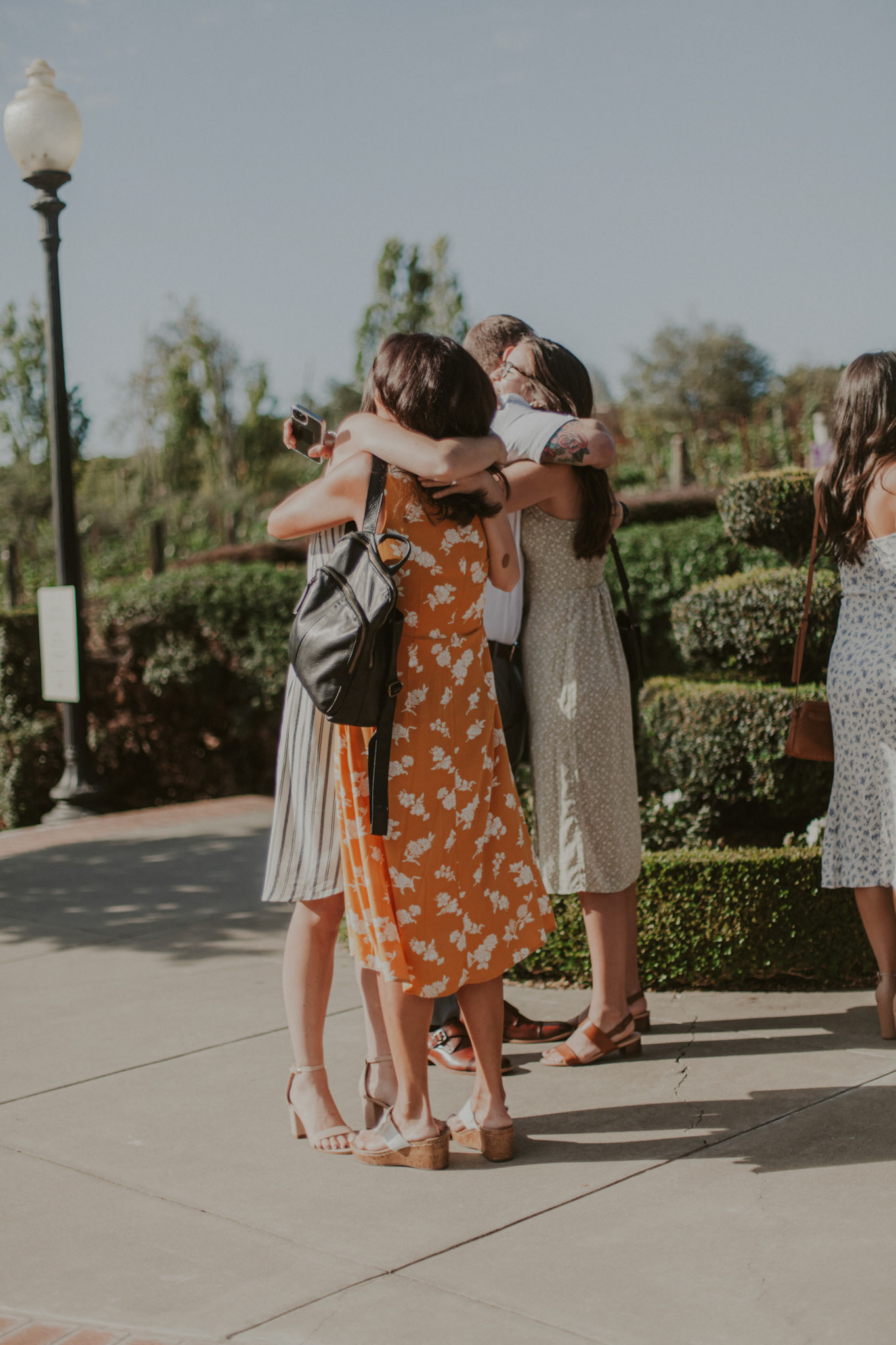domaine carneros surprise proposal napa ca