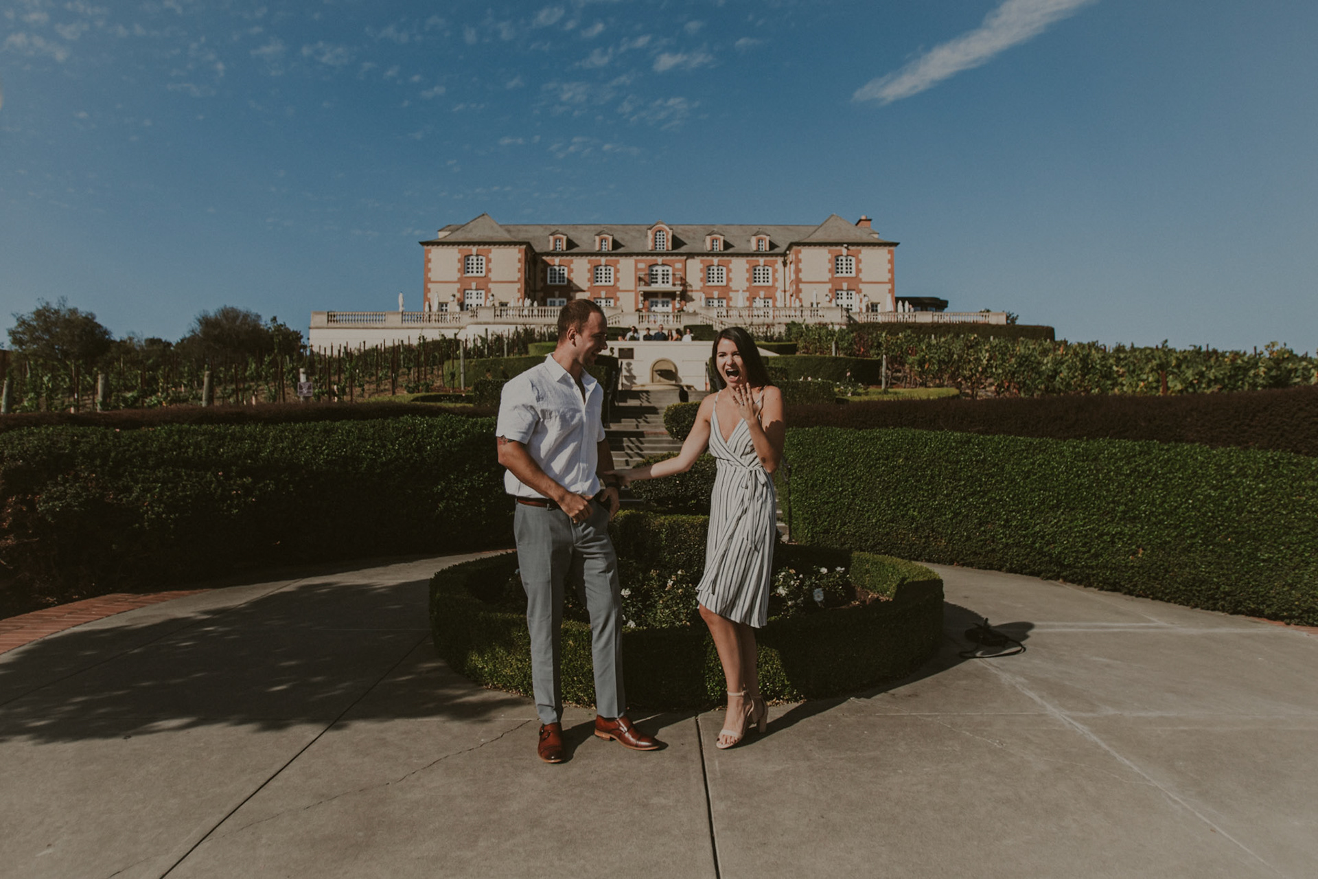 domaine carneros surprise proposal napa ca