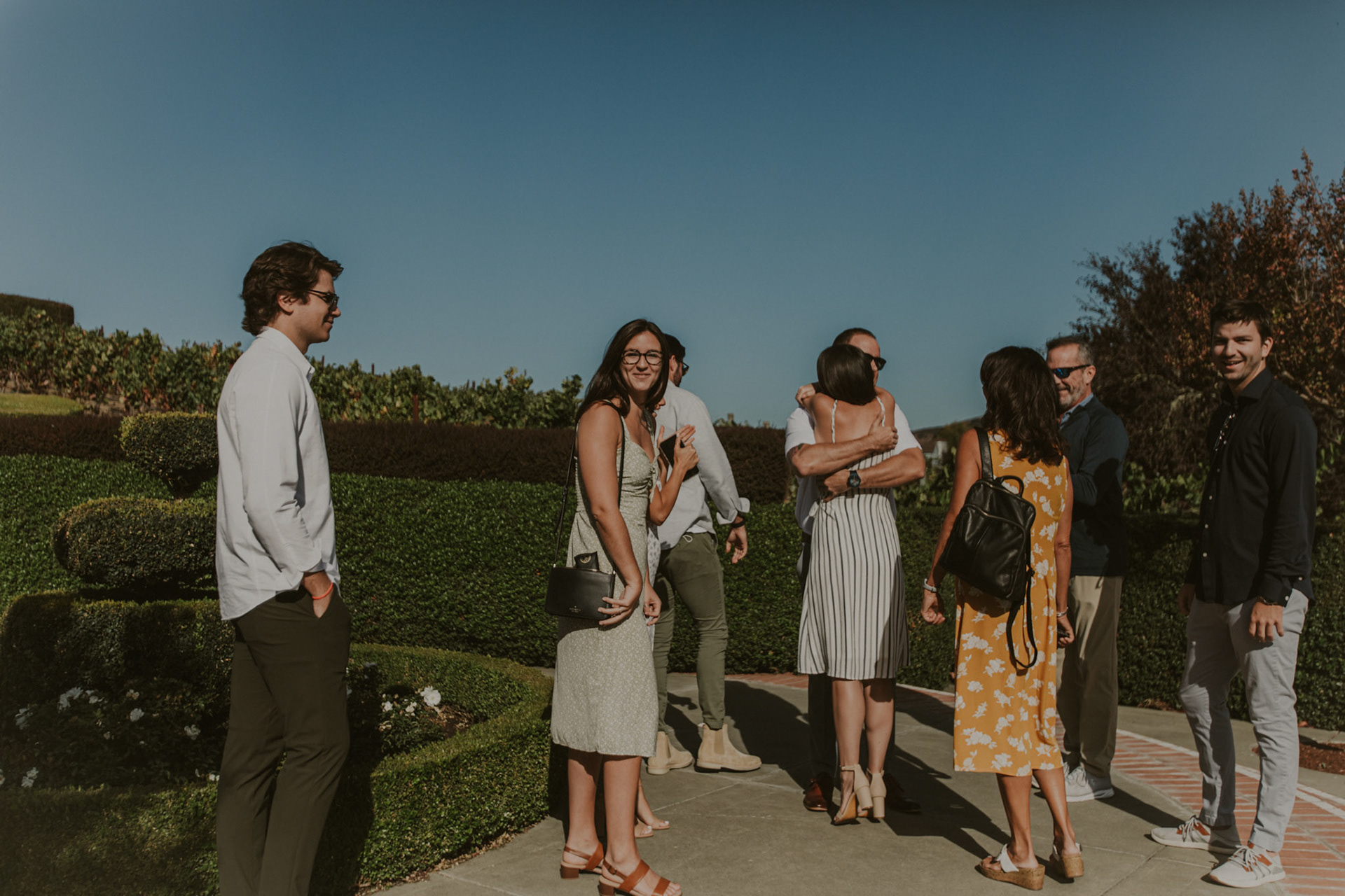 domaine carneros surprise proposal napa ca