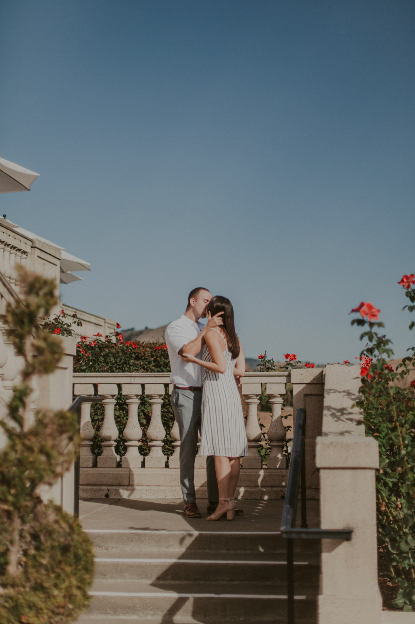 domaine carneros surprise proposal napa ca