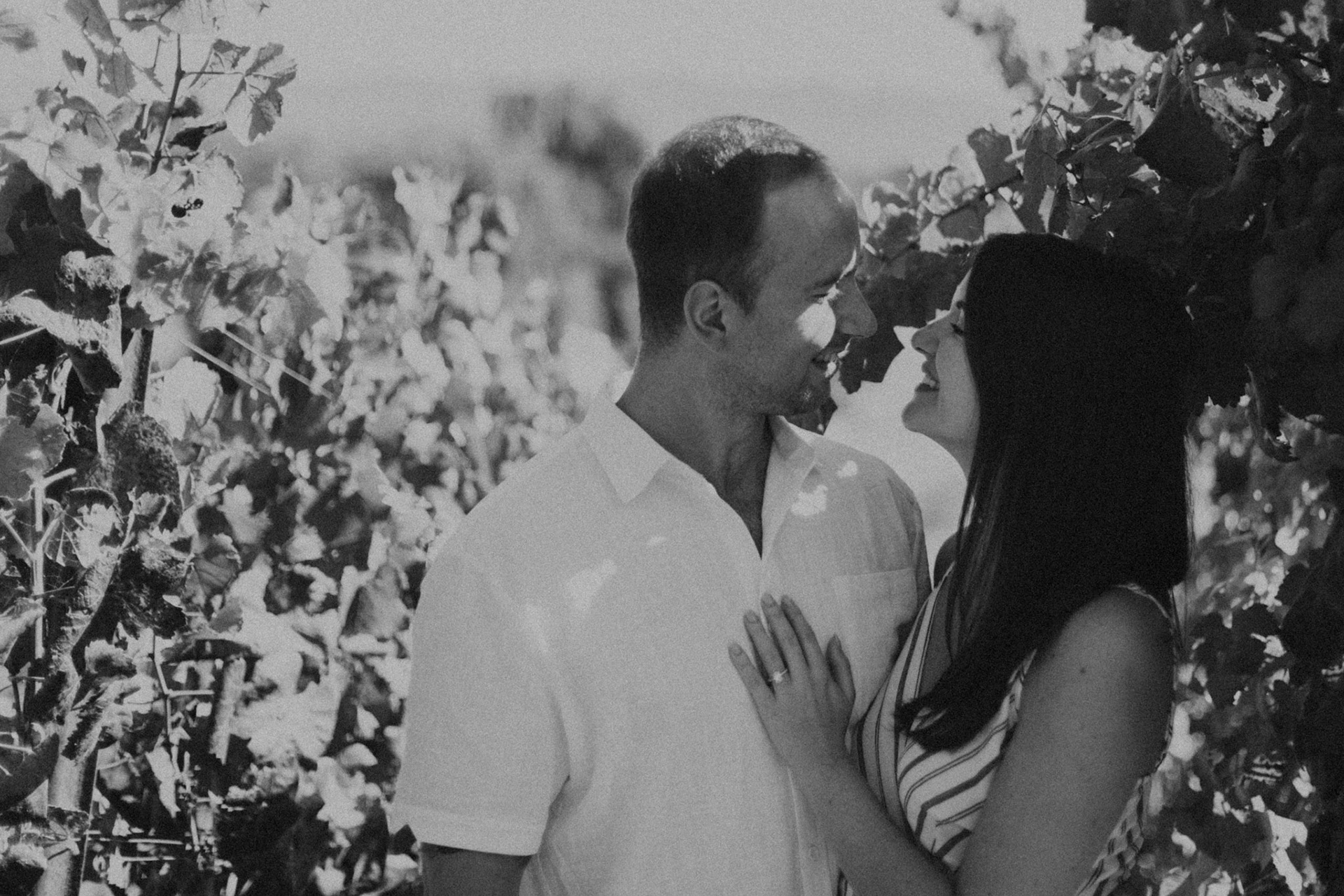 domaine carneros surprise proposal napa ca