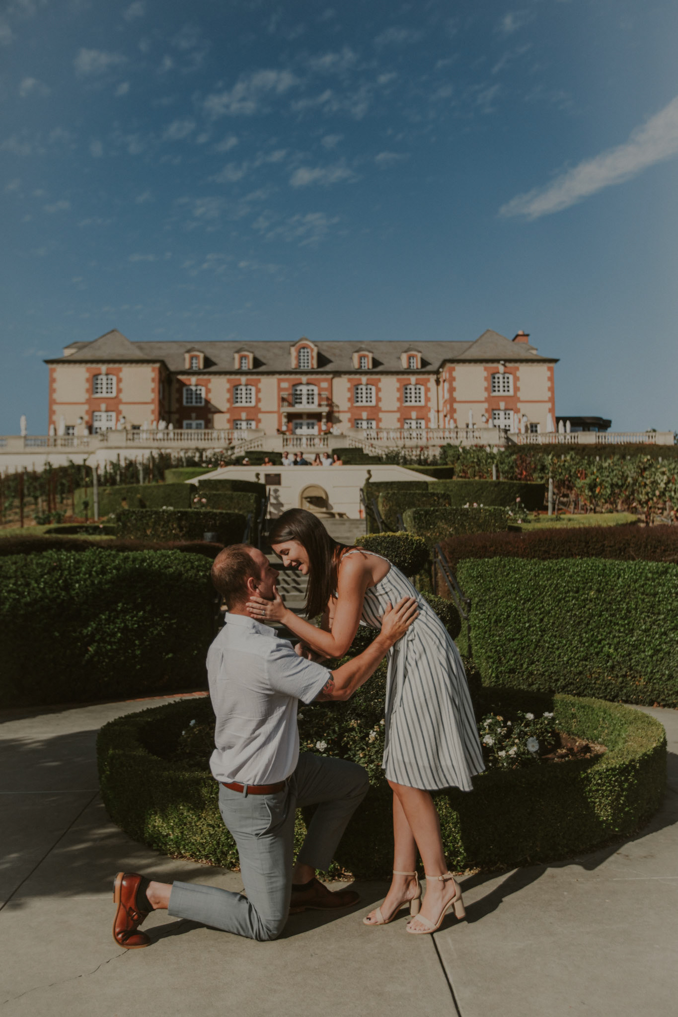 domaine carneros surprise proposal napa ca