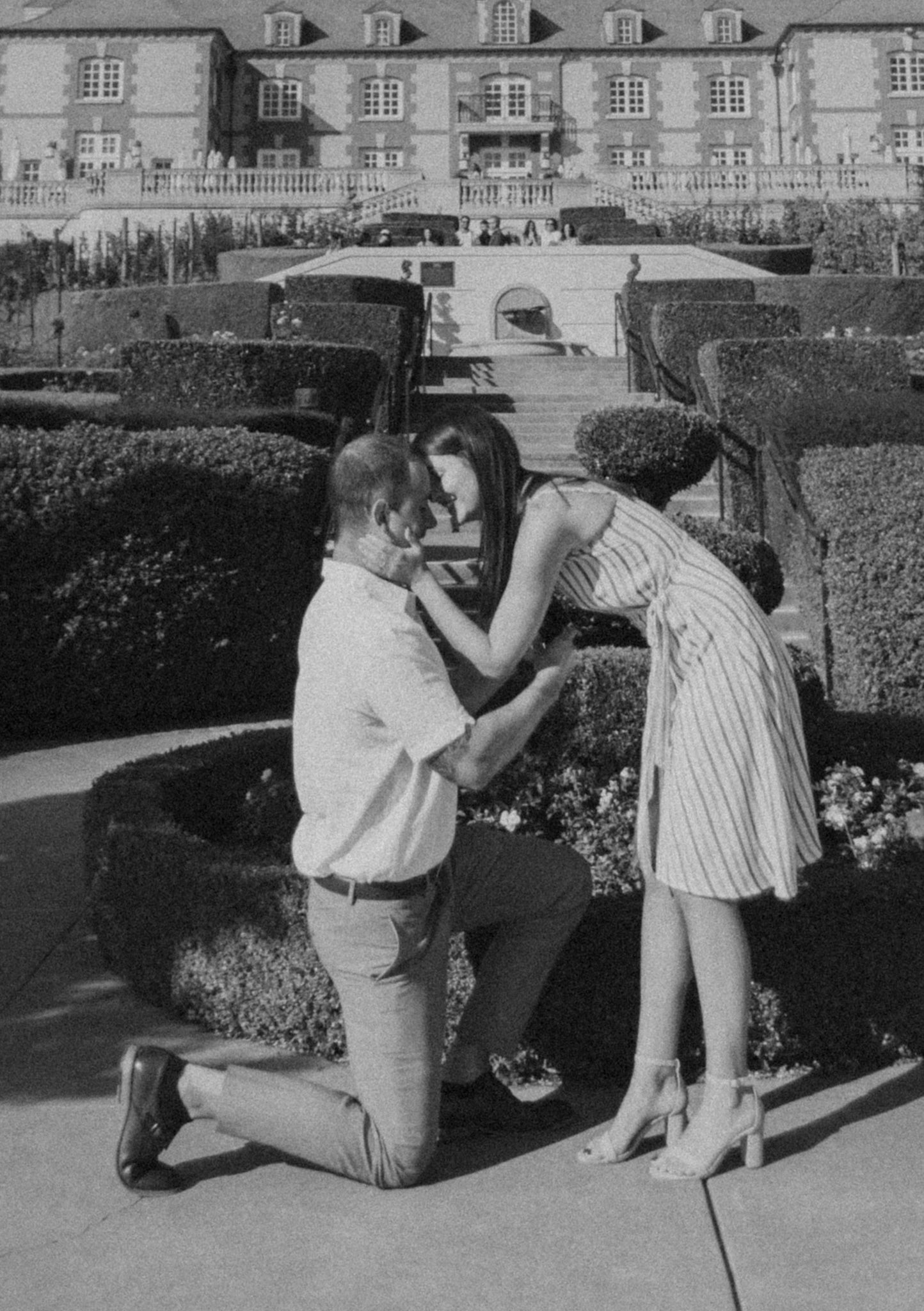 domaine carneros surprise proposal napa ca