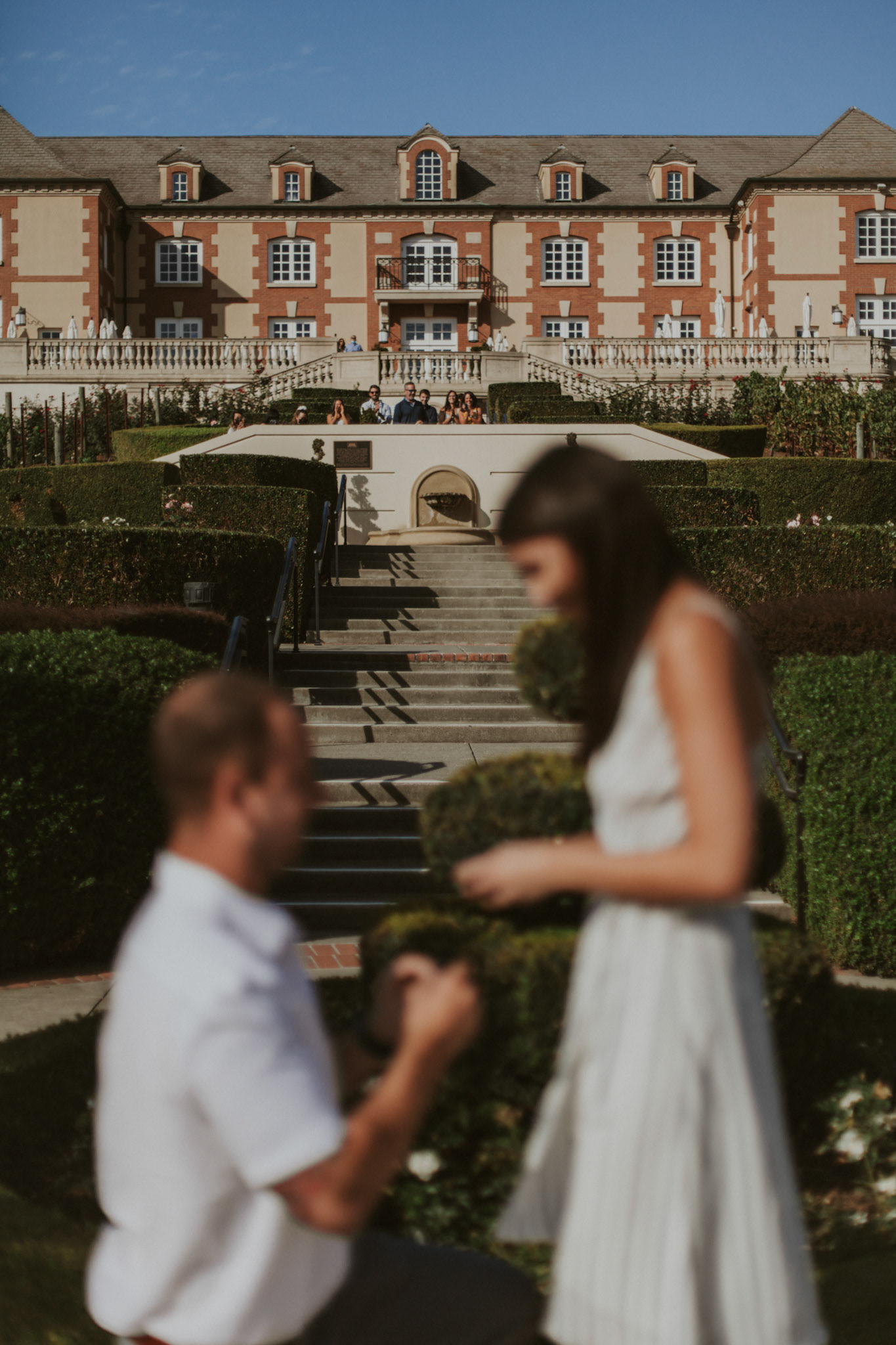 domaine carneros surprise proposal napa ca