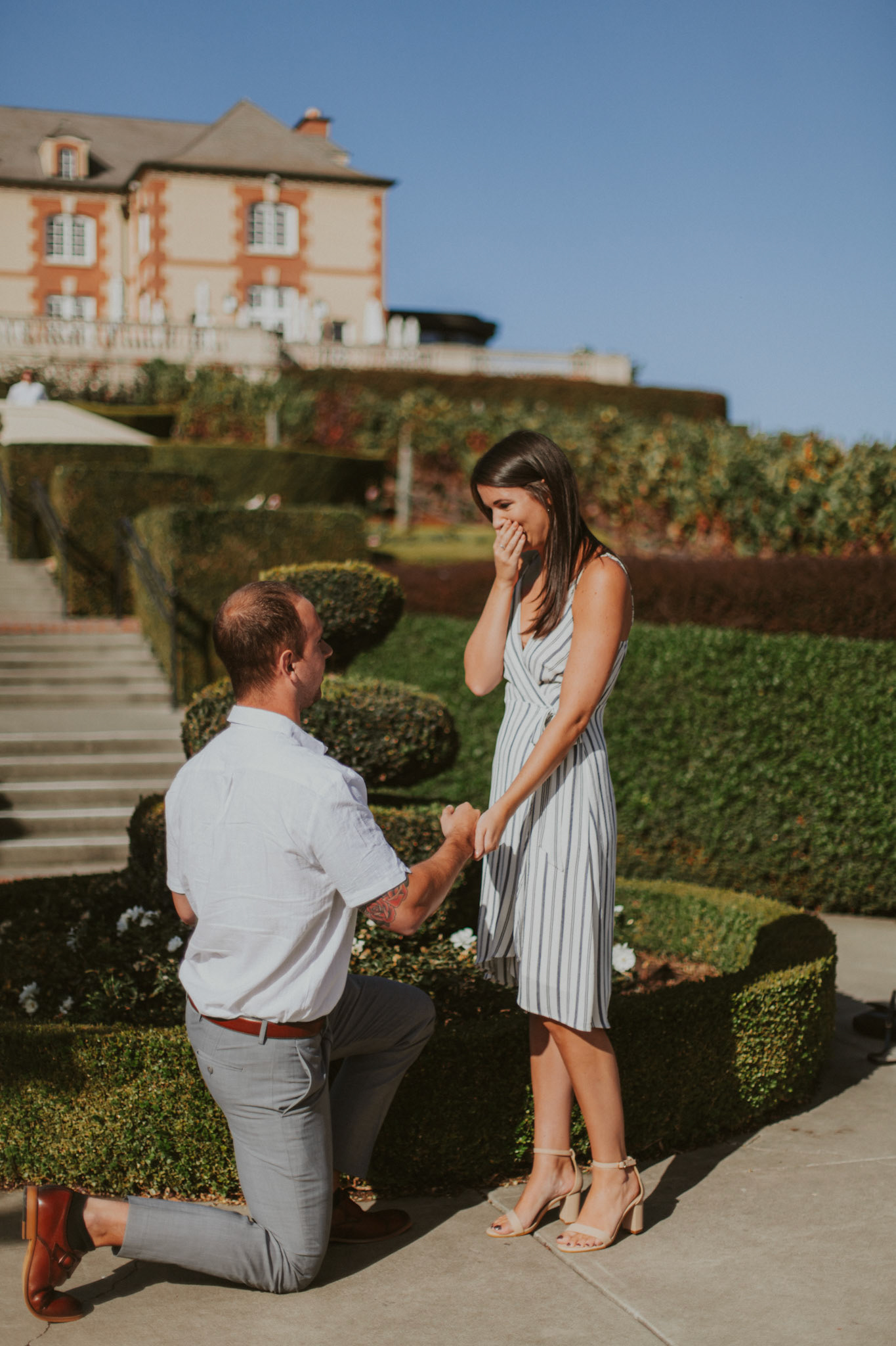 domaine carneros surprise proposal napa ca