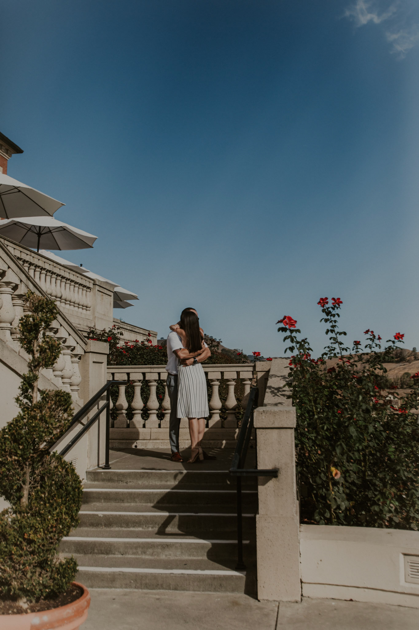 domaine carneros surprise proposal napa ca