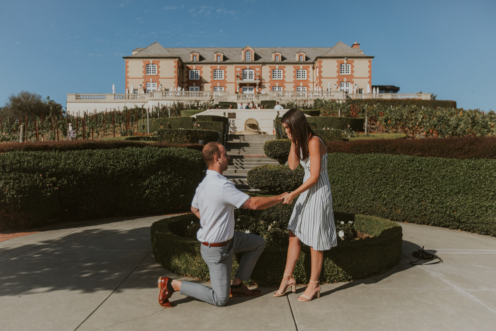 domaine carneros surprise proposal napa ca