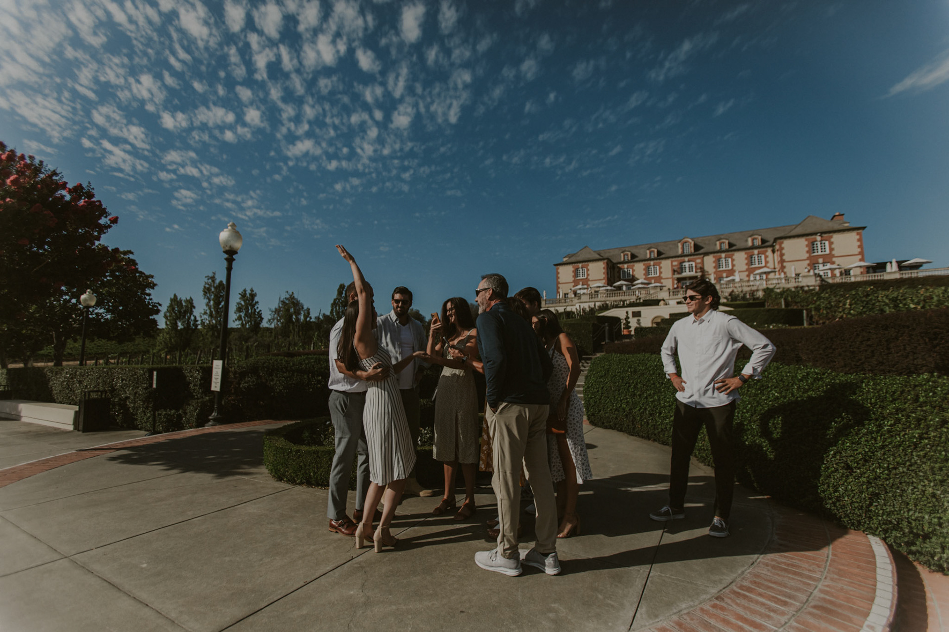 domaine carneros surprise proposal napa ca