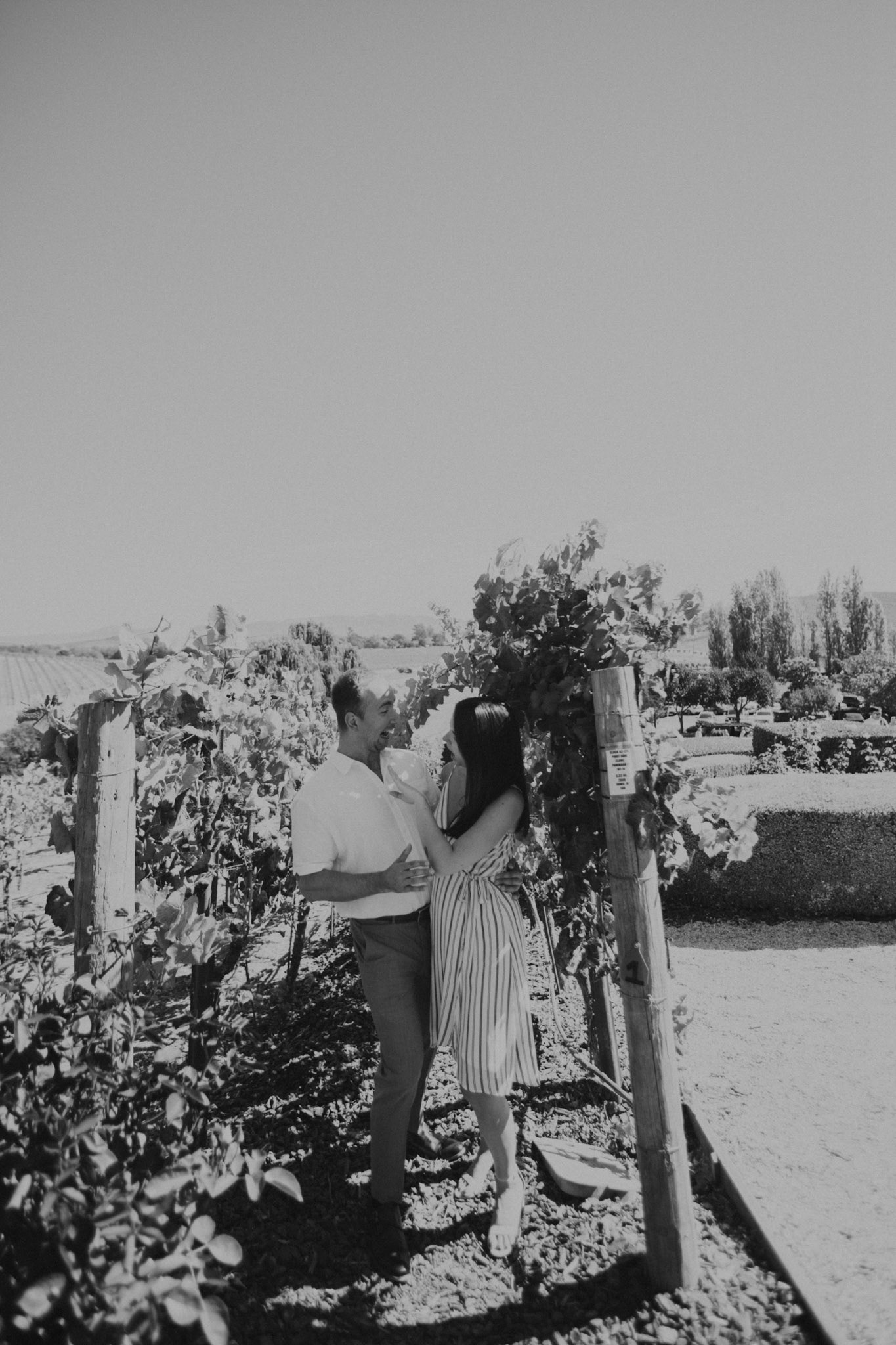 domaine carneros surprise proposal napa ca