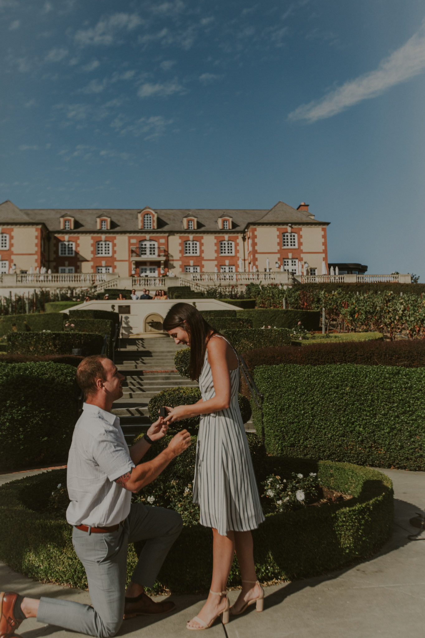 domaine carneros surprise proposal napa ca