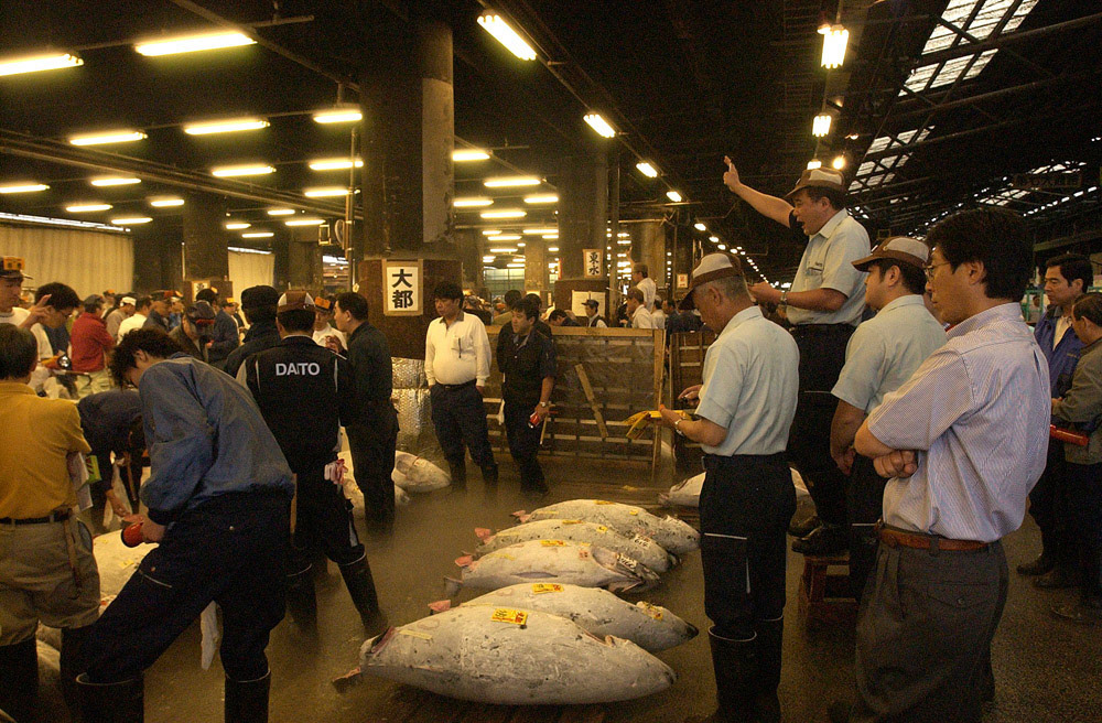 [#Beginning of Shooting Data Section]
Nikon D1H
2002/06/24 13:12:52.6
JPEG (8-bit) Fine
Image Size:  2000 x 1312
Color
Lens: 17-35mm f/2.8-2.8
Focal Length: 17mm
Exposure Mode: Programmed Auto
Metering Mode: Multi-Pattern
1/90 sec - f/4.8
Exposure Comp.: 0 EV
Sensitivity: ISO 1250
White Balance: Direct sunlight
AF Mode: AF-C
Tone Comp: Less Contrast
Flash Sync Mode: Not Attached
Color Mode: Mode II (Adobe RGB)
Hue Adjustment: +3
Sharpening: Normal
Noise Reduction: 
Image Description:                                
Camera ID: 
[#End of Shooting Data Section]
