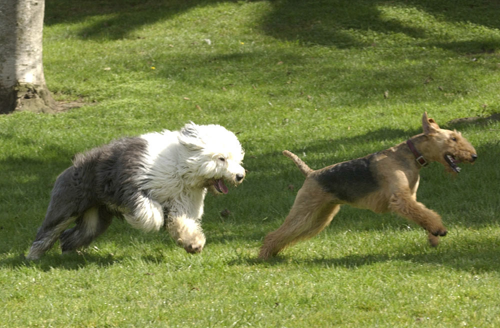 File name            :DSC_0103.JPG
File size            :1.2MB(1262358Bytes)
Date taken           :2002/02/22 12:07:15
Image size           :2000 x 1312
Resolution           :300 x 300 dpi
Number of bits       :8bit/channel
Protection attribute :Off
Hide Attribute       :Off
Camera ID            :N/A
Camera               :NIKON D1H
Quality mode         :FINE
Metering mode        :Matrix
Exposure mode        :Programmed auto
Speed light          :No
Focal length         :130 mm
Shutter speed        :1/320second
Aperture             :F8.5
Exposure compensation:0 EV
White Balance        :Direct sunlight
Lens                 :80 - 200 mm F 2.8
Flash sync mode      :N/A
Exposure difference  :0.0 EV
Flexible program     :No
Sensitivity          :ISO400
Sharpening           :None
Image Type           :Color
Color Mode           :Mode II(Adobe RGB)
Hue adjustment       :3
Saturation Control   :N/A
Tone compensation    :Less contrast
Latitude(GPS)        :N/A
Longitude(GPS)       :N/A
Altitude(GPS)        :N/A