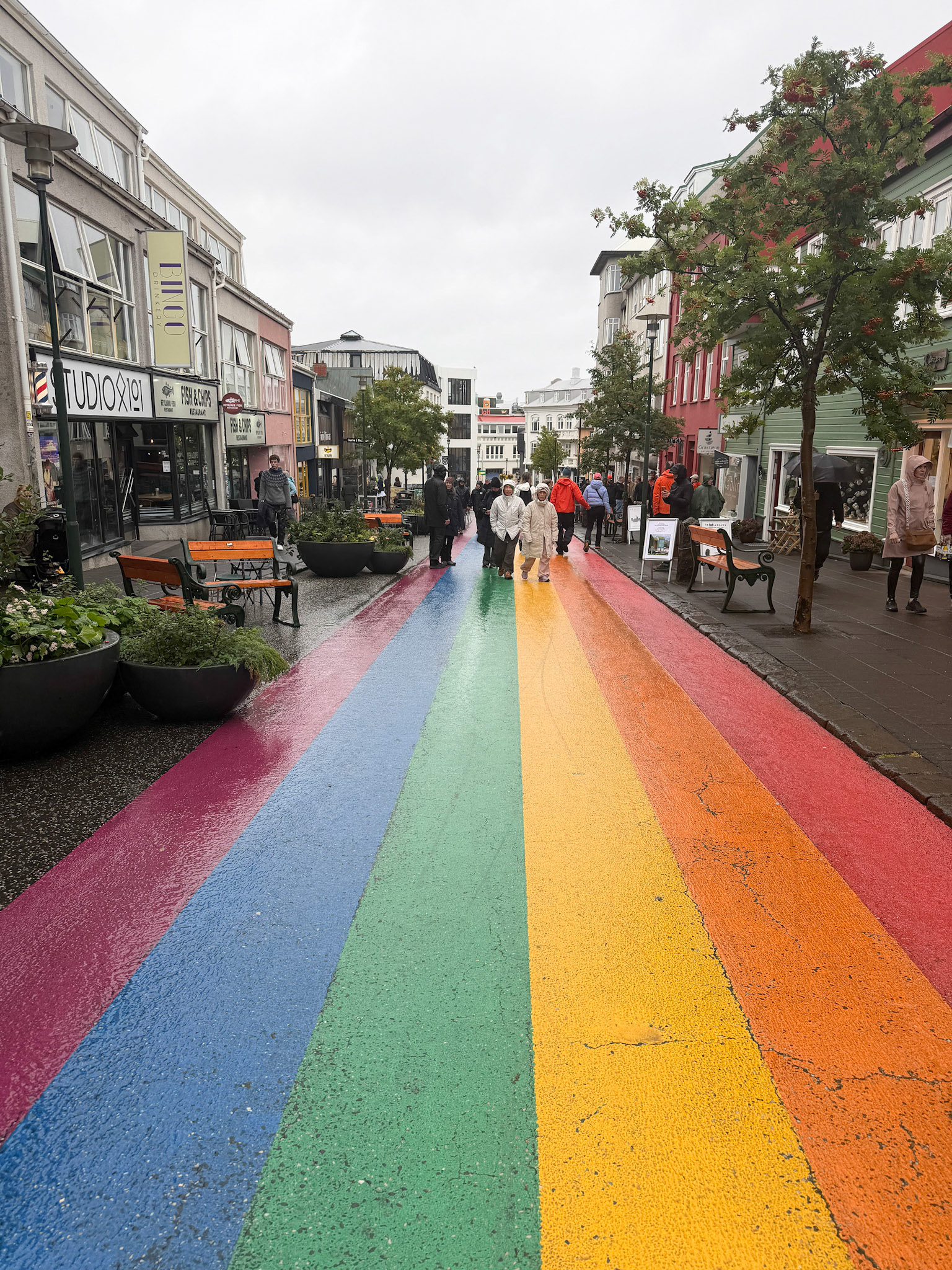Welcome to Reykjavik