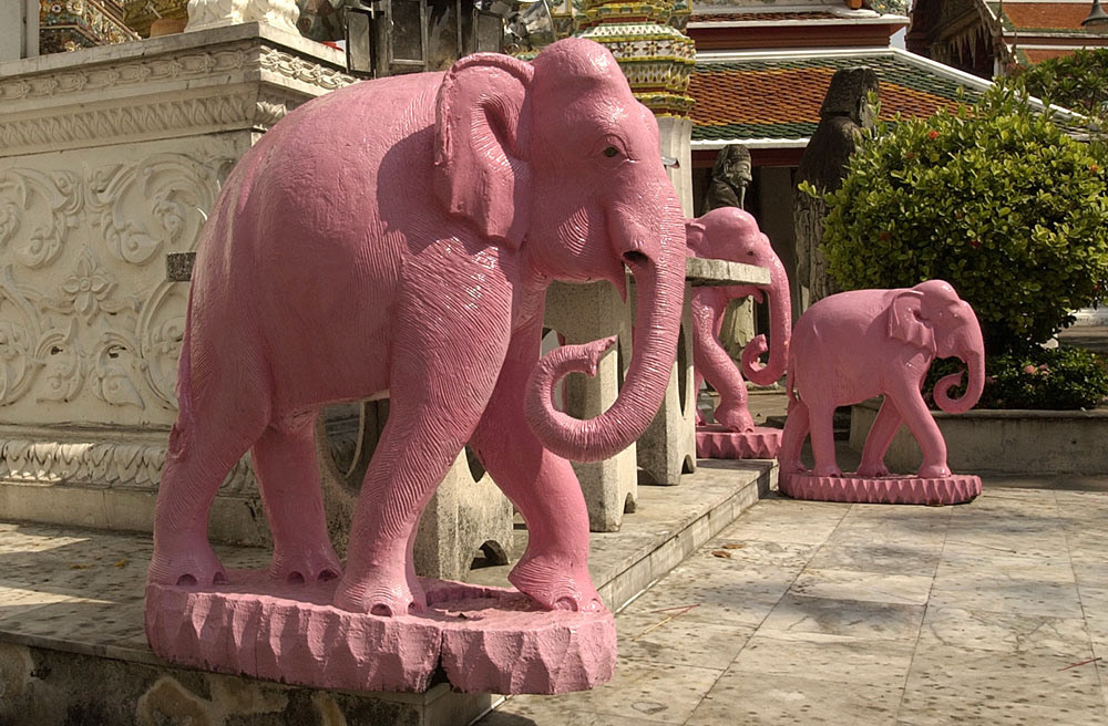 File name            :DSC_0019.JPG
File size            :1.3MB(1319062Bytes)
Date taken           :2002/04/18 18:34:30
Image size           :2000 x 1312
Resolution           :300 x 300 dpi
Number of bits       :8bit/channel
Protection attribute :Off
Hide Attribute       :Off
Camera ID            :N/A
Camera               :NIKON D1H
Quality mode         :FINE
Metering mode        :Matrix
Exposure mode        :Programmed auto
Speed light          :No
Focal length         :20 mm
Shutter speed        :1/400second
Aperture             :F10.0
Exposure compensation:0 EV
White Balance        :Cloudy
Lens                 :17 - 35 mm F 2.8
Flash sync mode      :N/A
Exposure difference  :0.0 EV
Flexible program     :No
Sensitivity          :ISO250
Sharpening           :Normal
Image Type           :Color
Color Mode           :Mode II(Adobe RGB)
Hue adjustment       :3
Saturation Control   :N/A
Tone compensation    :Less contrast
Latitude(GPS)        :N/A
Longitude(GPS)       :N/A
Altitude(GPS)        :N/A