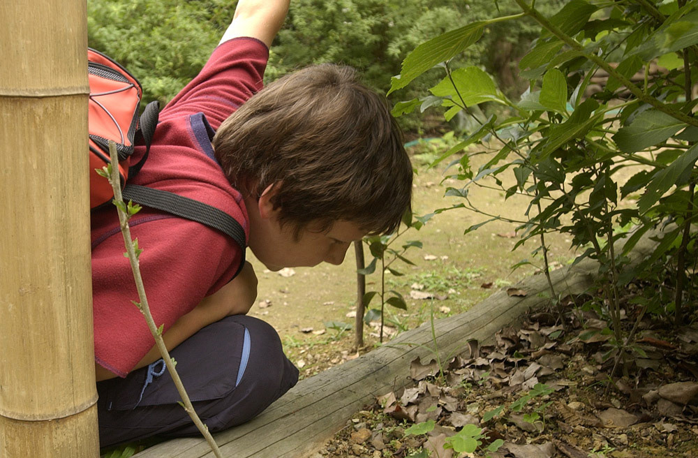 [#Beginning of Shooting Data Section]
Nikon D1H
2002/06/22 21:39:49.3
JPEG (8-bit) Fine
Image Size:  2000 x 1312
Color
Lens: 17-35mm f/2.8-2.8
Focal Length: 25mm
Exposure Mode: Programmed Auto
Metering Mode: Center-Weighted
1/80 sec - f/4.2
Exposure Comp.: 0 EV
Sensitivity: ISO 250
White Balance: Cloudy
AF Mode: AF-C
Tone Comp: Less Contrast
Flash Sync Mode: Not Attached
Color Mode: Mode II (Adobe RGB)
Hue Adjustment: +3
Sharpening: Normal
Noise Reduction: 
Image Description:                                
Camera ID: 
[#End of Shooting Data Section]
