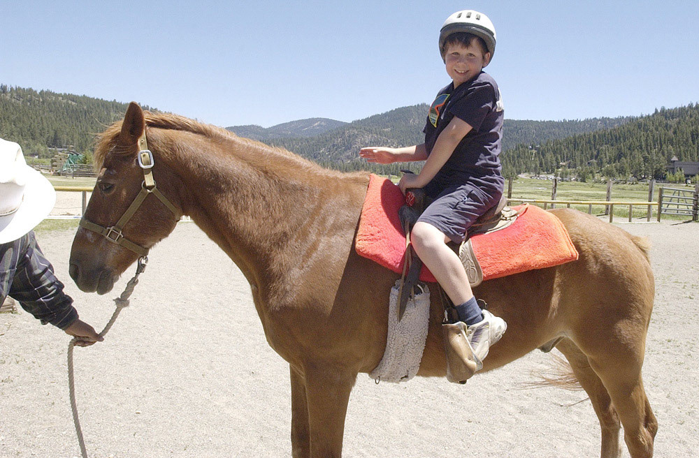 [#Beginning of Shooting Data Section]
Nikon D1H
2002/06/08 11:23:17.5
JPEG (8-bit) Fine
Image Size:  2000 x 1312
Color
Lens: 17-35mm f/2.8-2.8
Focal Length: 17mm
Exposure Mode: Programmed Auto
Metering Mode: Multi-Pattern
1/350 sec - f/9.5
Exposure Comp.: 0 EV
Sensitivity: ISO 250
White Balance: Direct sunlight
AF Mode: AF-C
Tone Comp: Less Contrast
Flash Sync Mode: Not Attached
Color Mode: Mode II (Adobe RGB)
Hue Adjustment: +3
Sharpening: Normal
Noise Reduction: 
Image Description:                                
Camera ID: 
[#End of Shooting Data Section]
