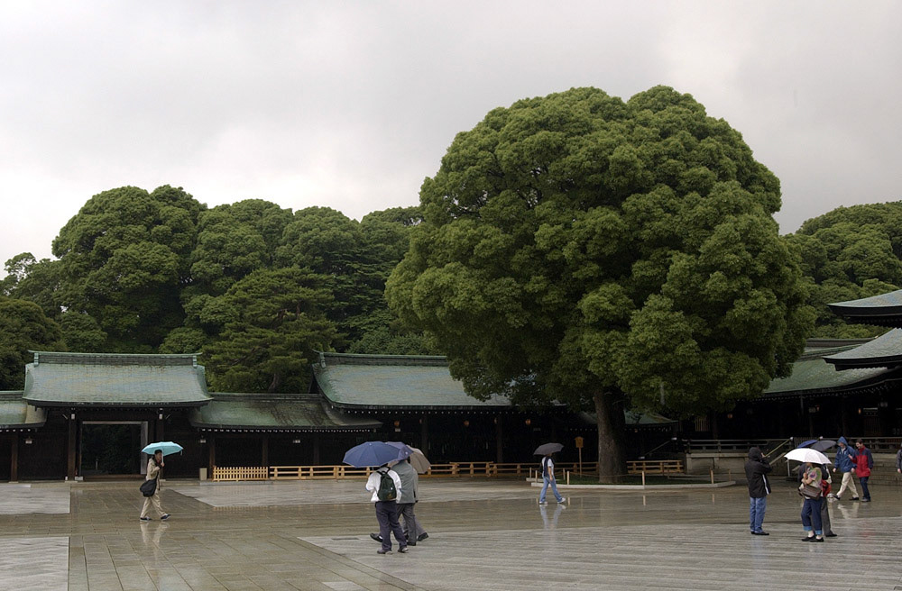 [#Beginning of Shooting Data Section]
Nikon D1H
2002/06/24 18:02:38.1
JPEG (8-bit) Fine
Image Size:  2000 x 1312
Color
Lens: 17-35mm f/2.8-2.8
Focal Length: 24mm
Exposure Mode: Programmed Auto
Metering Mode: Multi-Pattern
1/160 sec - f/6.3
Exposure Comp.: 0 EV
Sensitivity: ISO 250
White Balance: Cloudy
AF Mode: AF-C
Tone Comp: Less Contrast
Flash Sync Mode: Not Attached
Color Mode: Mode II (Adobe RGB)
Hue Adjustment: +3
Sharpening: Normal
Noise Reduction: 
Image Description:                                
Camera ID: 
[#End of Shooting Data Section]
