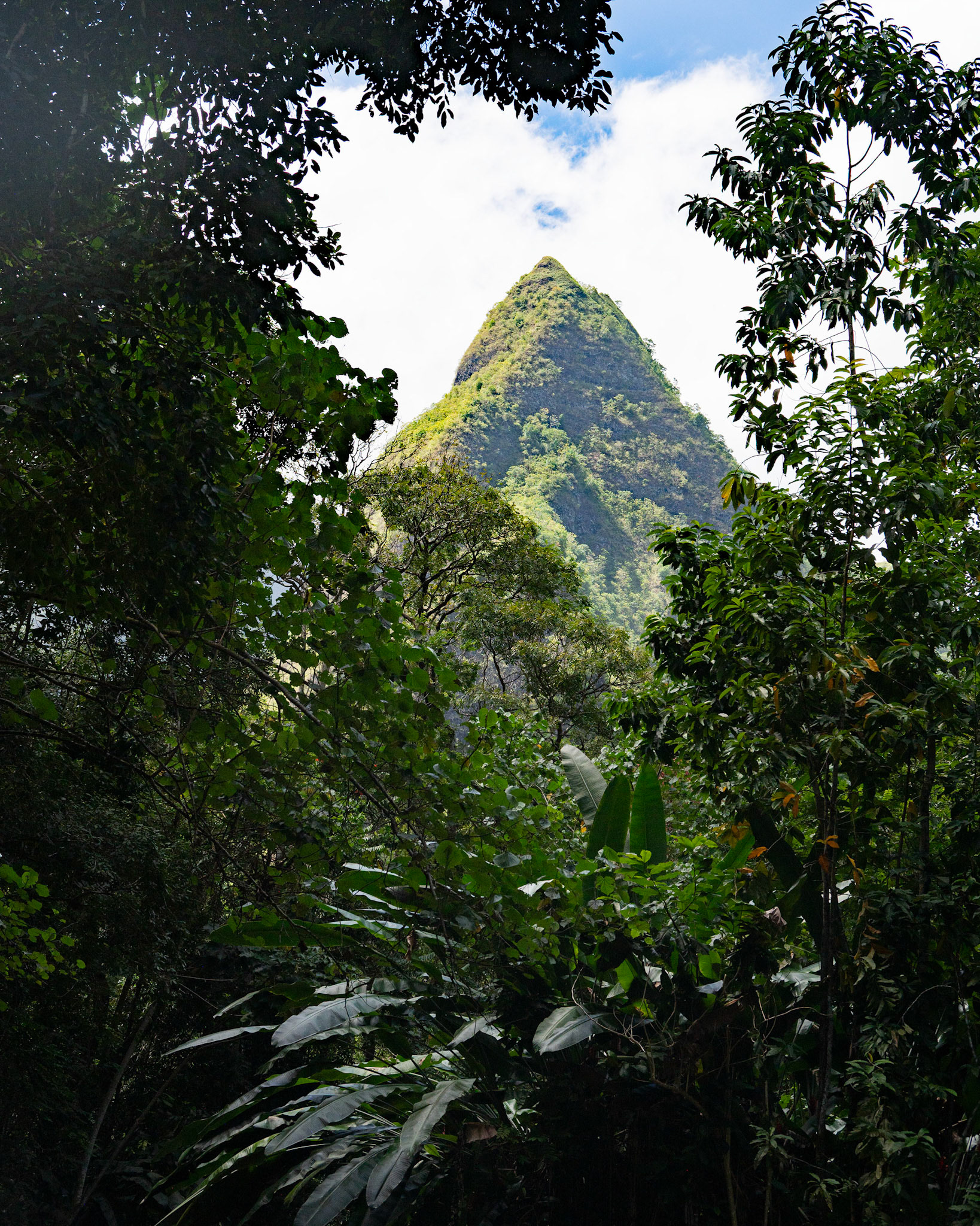 Hiking on Tahiti