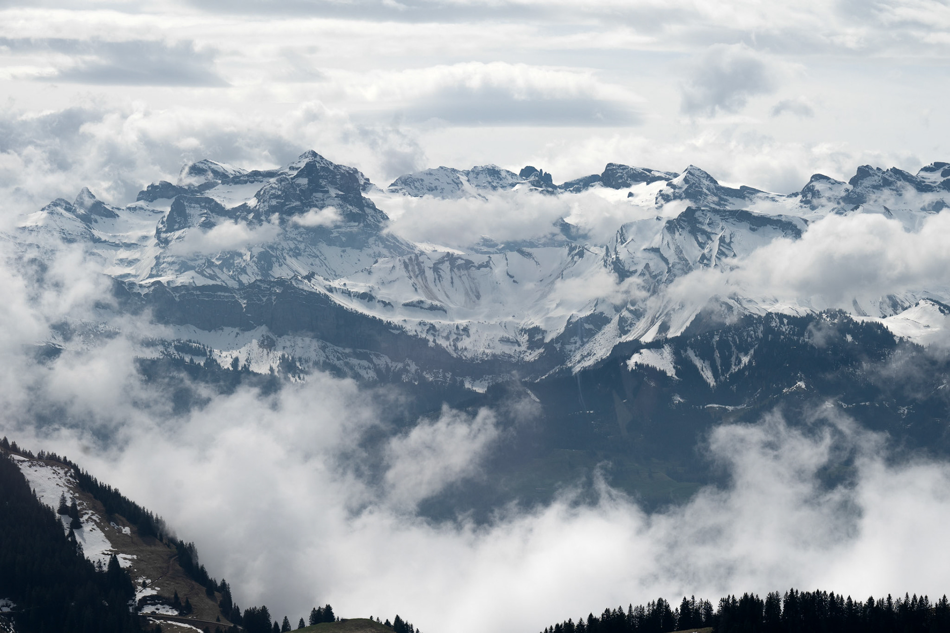 One more view from the top of Rigi
