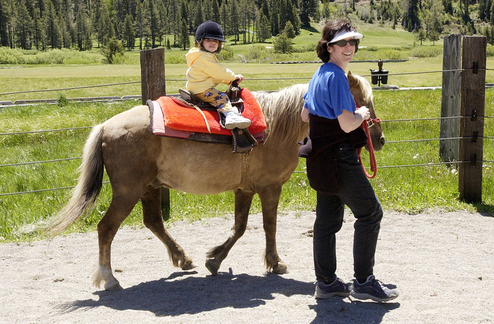 [#Beginning of Shooting Data Section]
Nikon D1H
2002/06/08 11:28:22.1
JPEG (8-bit) Fine
Image Size:  2000 x 1312
Color
Lens: 17-35mm f/2.8-2.8
Focal Length: 35mm
Exposure Mode: Programmed Auto
Metering Mode: Multi-Pattern
1/350 sec - f/9.5
Exposure Comp.: 0 EV
Sensitivity: ISO 250
White Balance: Direct sunlight
AF Mode: AF-C
Tone Comp: Less Contrast
Flash Sync Mode: Not Attached
Color Mode: Mode II (Adobe RGB)
Hue Adjustment: +3
Sharpening: Normal
Noise Reduction: 
Image Description:                                
Camera ID: 
[#End of Shooting Data Section]
