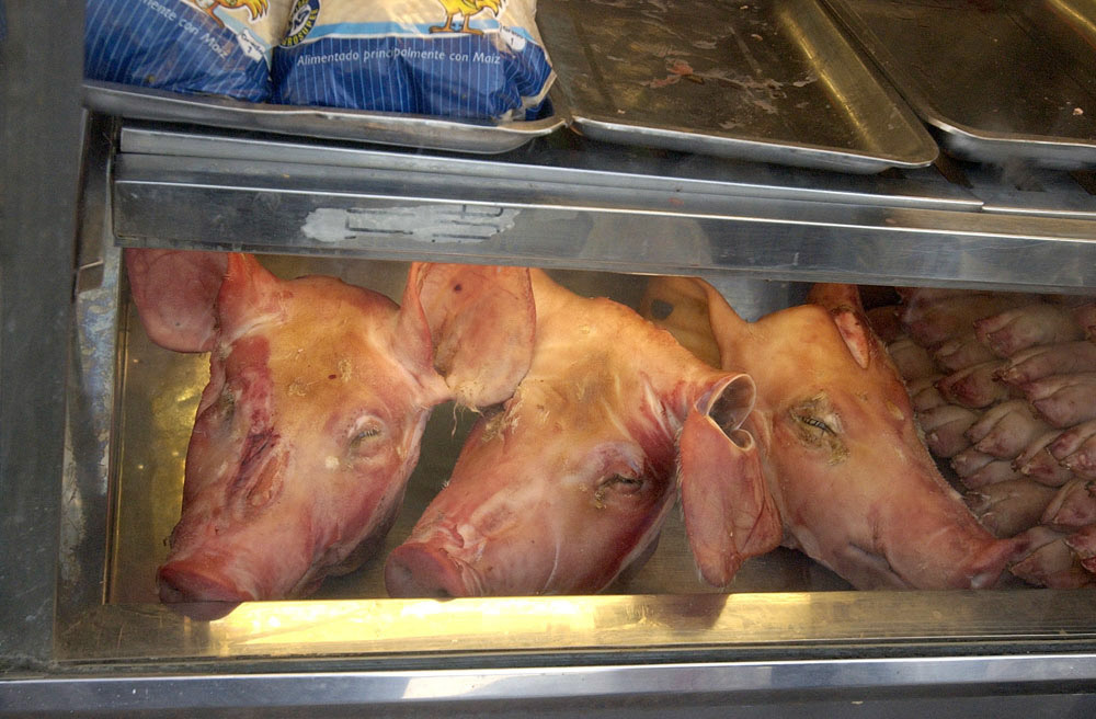 [#Beginning of Shooting Data Section]
Nikon D1H
2002/08/11 10:35:07.2
JPEG (8-bit) Fine
Image Size:  2000 x 1312
Color
Lens: 17-35mm f/2.8-2.8
Focal Length: 30mm
Exposure Mode: Programmed Auto
Metering Mode: Multi-Pattern
1/125 sec - f/5.6
Exposure Comp.: 0 EV
Sensitivity: ISO 800
White Balance: Cloudy
AF Mode: AF-C
Tone Comp: Less Contrast
Flash Sync Mode: Not Attached
Color Mode: Mode II (Adobe RGB)
Hue Adjustment: +3
Sharpening: Normal
Noise Reduction: 
Image Description:                                
Camera ID: 
[#End of Shooting Data Section]
