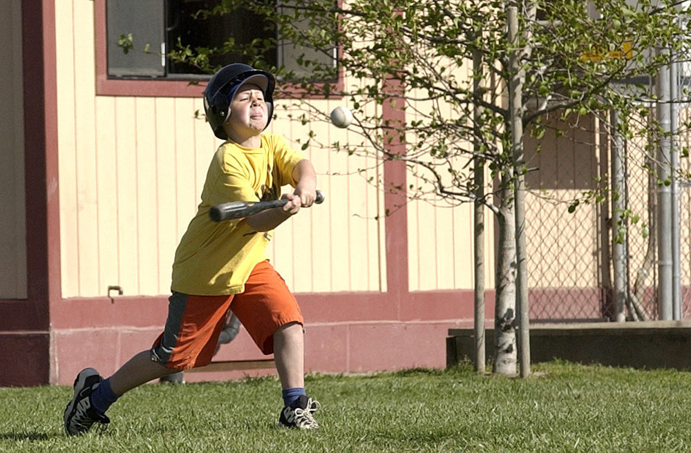 File name            :DSC_0005.JPG
File size            :1.3MB(1350627Bytes)
Date taken           :2002/03/16 15:00:08
Image size           :2000 x 1312
Resolution           :300 x 300 dpi
Number of bits       :8bit/channel
Protection attribute :Off
Hide Attribute       :Off
Camera ID            :N/A
Camera               :NIKON D1H
Quality mode         :FINE
Metering mode        :Matrix
Exposure mode        :Programmed auto
Speed light          :No
Focal length         :200 mm
Shutter speed        :1/1000second
Aperture             :F8.0
Exposure compensation:0 EV
White Balance        :Direct sunlight
Lens                 :80 - 200 mm F 2.8
Flash sync mode      :N/A
Exposure difference  :0.0 EV
Flexible program     :Yes
Sensitivity          :ISO400
Sharpening           :Normal
Image Type           :Color
Color Mode           :Mode II(Adobe RGB)
Hue adjustment       :3
Saturation Control   :N/A
Tone compensation    :Less contrast
Latitude(GPS)        :N/A
Longitude(GPS)       :N/A
Altitude(GPS)        :N/A