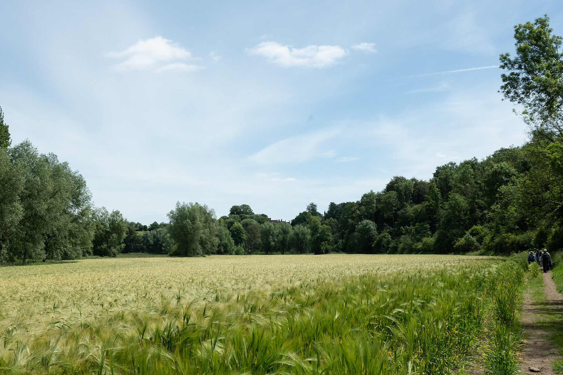 Hiking in the fields of Cotswold