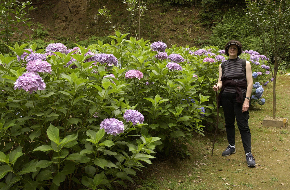 [#Beginning of Shooting Data Section]
Nikon D1H
2002/06/22 21:39:39.2
JPEG (8-bit) Fine
Image Size:  2000 x 1312
Color
Lens: 17-35mm f/2.8-2.8
Focal Length: 24mm
Exposure Mode: Programmed Auto
Metering Mode: Center-Weighted
1/100 sec - f/5
Exposure Comp.: 0 EV
Sensitivity: ISO 250
White Balance: Cloudy
AF Mode: AF-C
Tone Comp: Less Contrast
Flash Sync Mode: Not Attached
Color Mode: Mode II (Adobe RGB)
Hue Adjustment: +3
Sharpening: Normal
Noise Reduction: 
Image Description:                                
Camera ID: 
[#End of Shooting Data Section]
