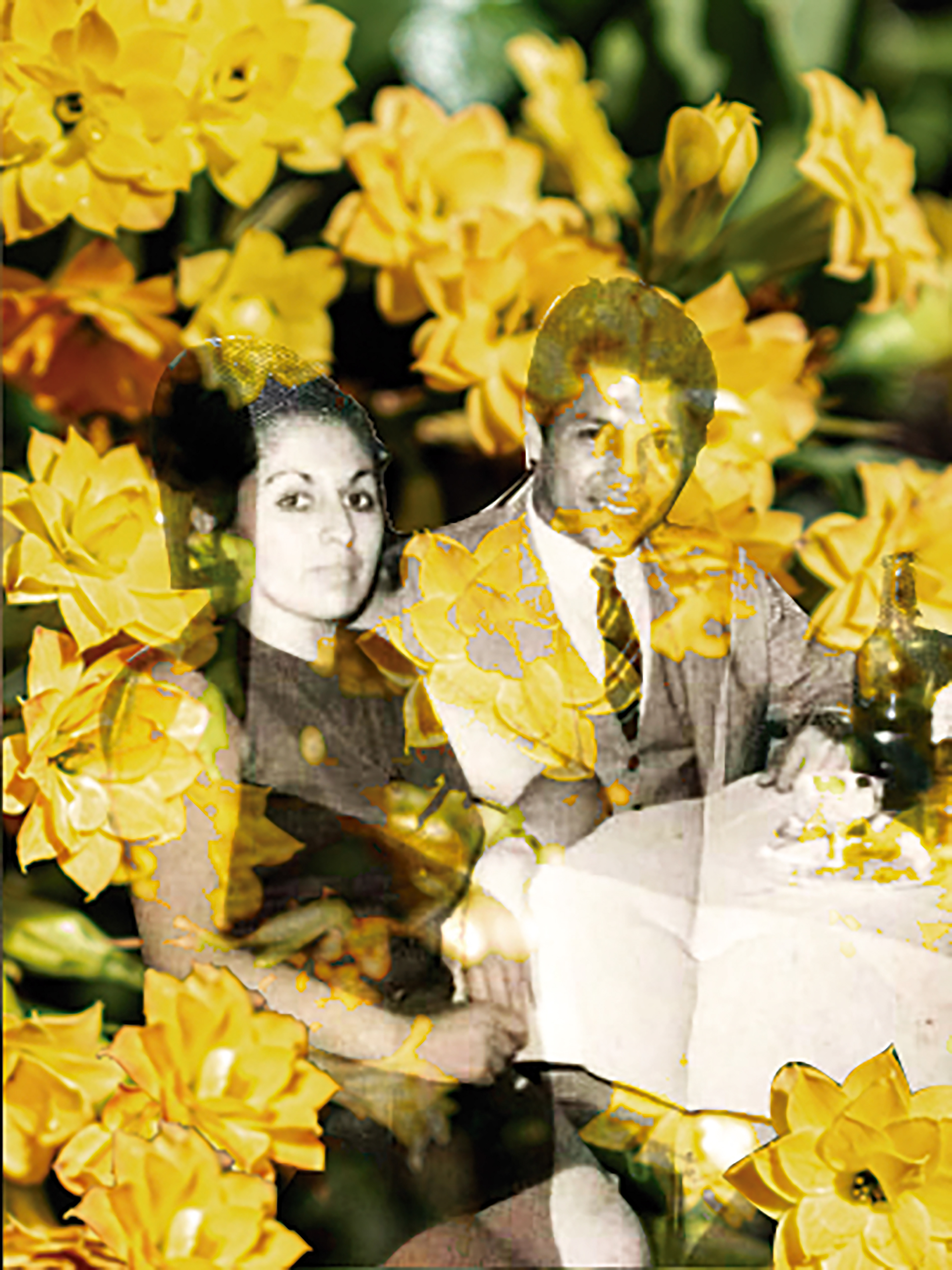 LAS FLORES QUE NO PUDIMOS DEJAR