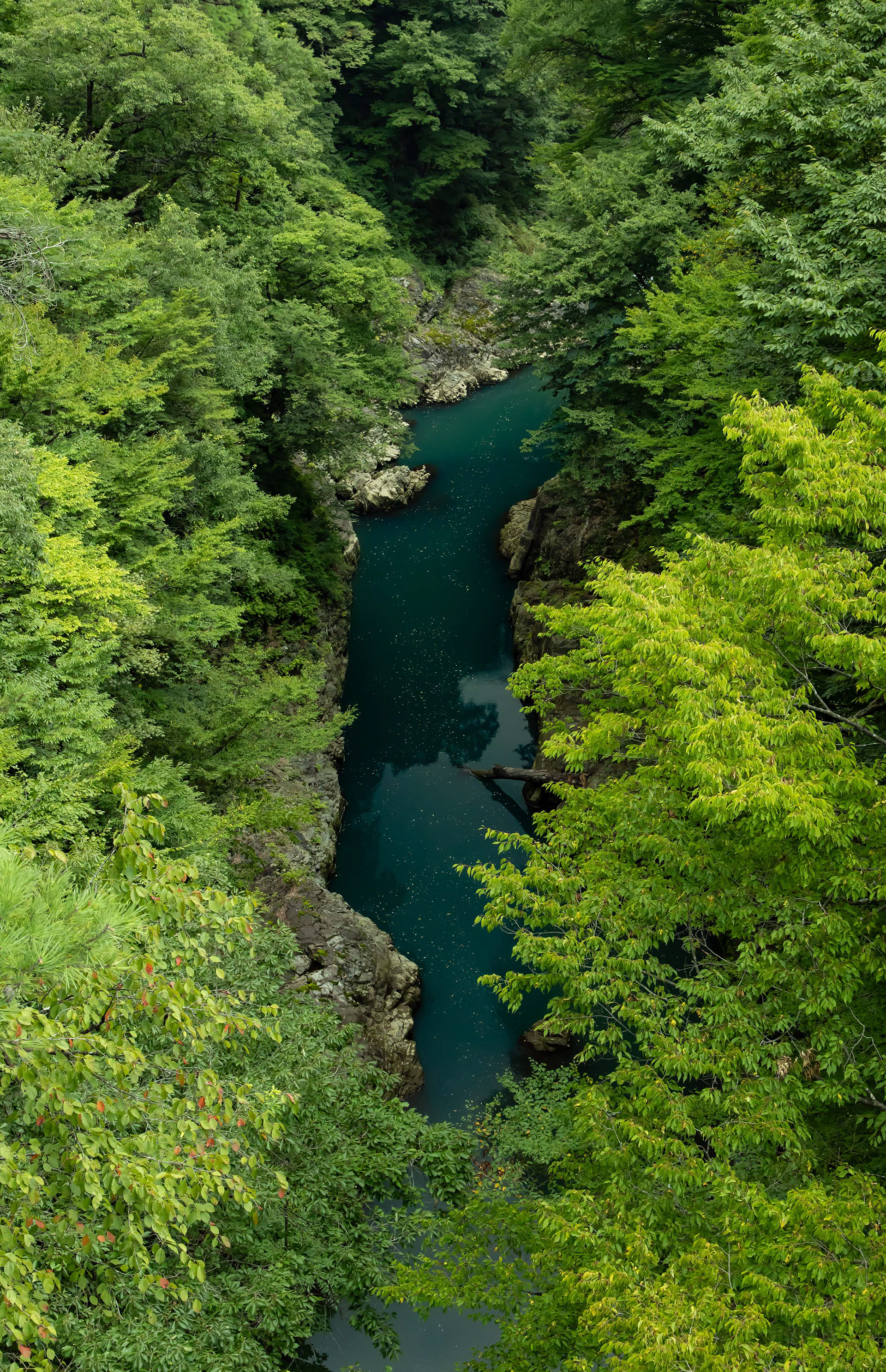 Canon R + RF24-105mm, ISO1600 F10 1/320 -0.67EV